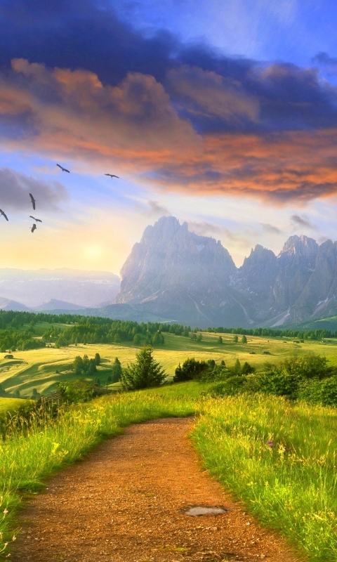 Download mobile wallpaper Landscape, Mountain, Earth, Field, Path, Cloud, Dolomites for free.