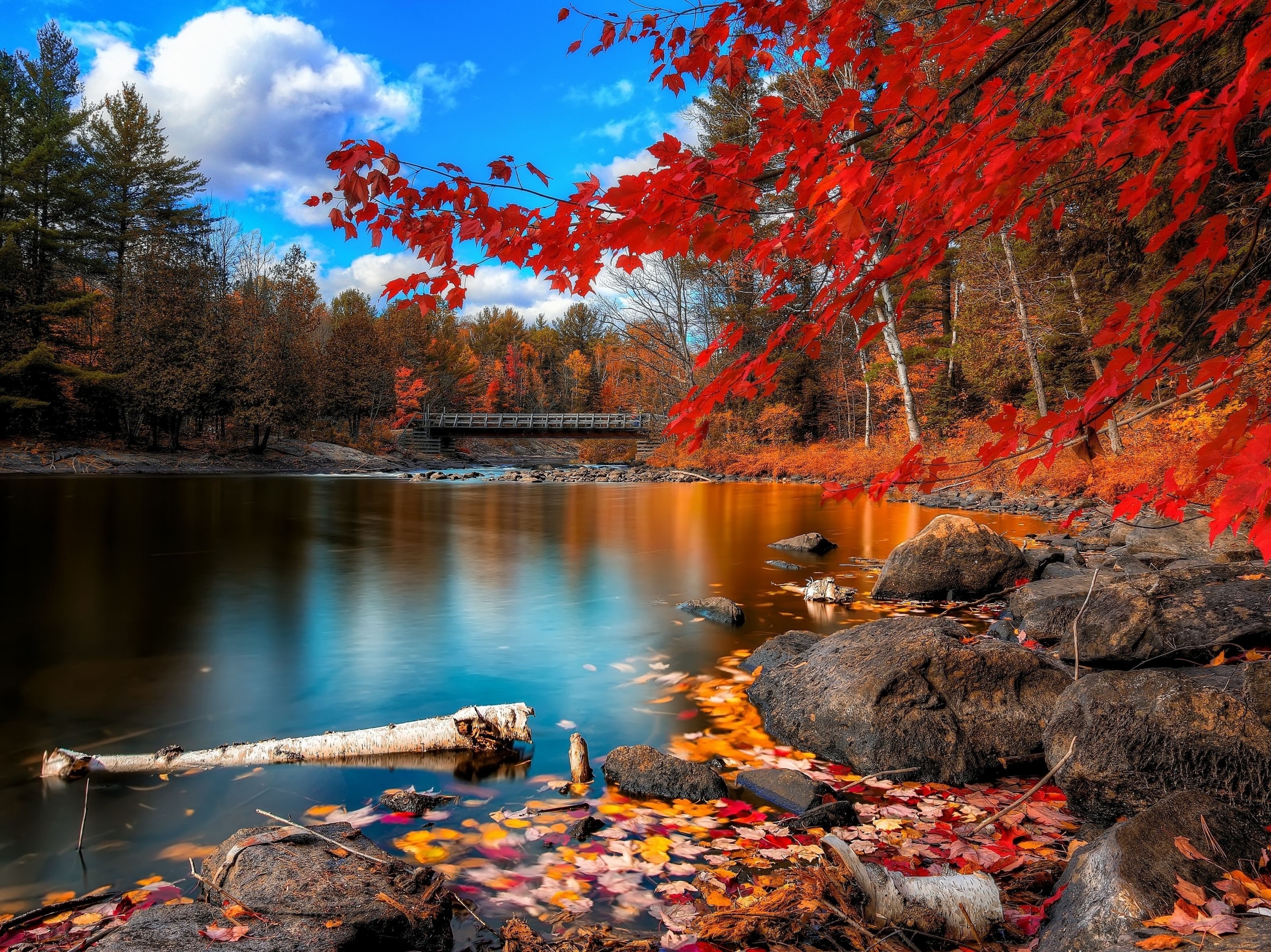 Free download wallpaper Nature, Fall, Earth on your PC desktop