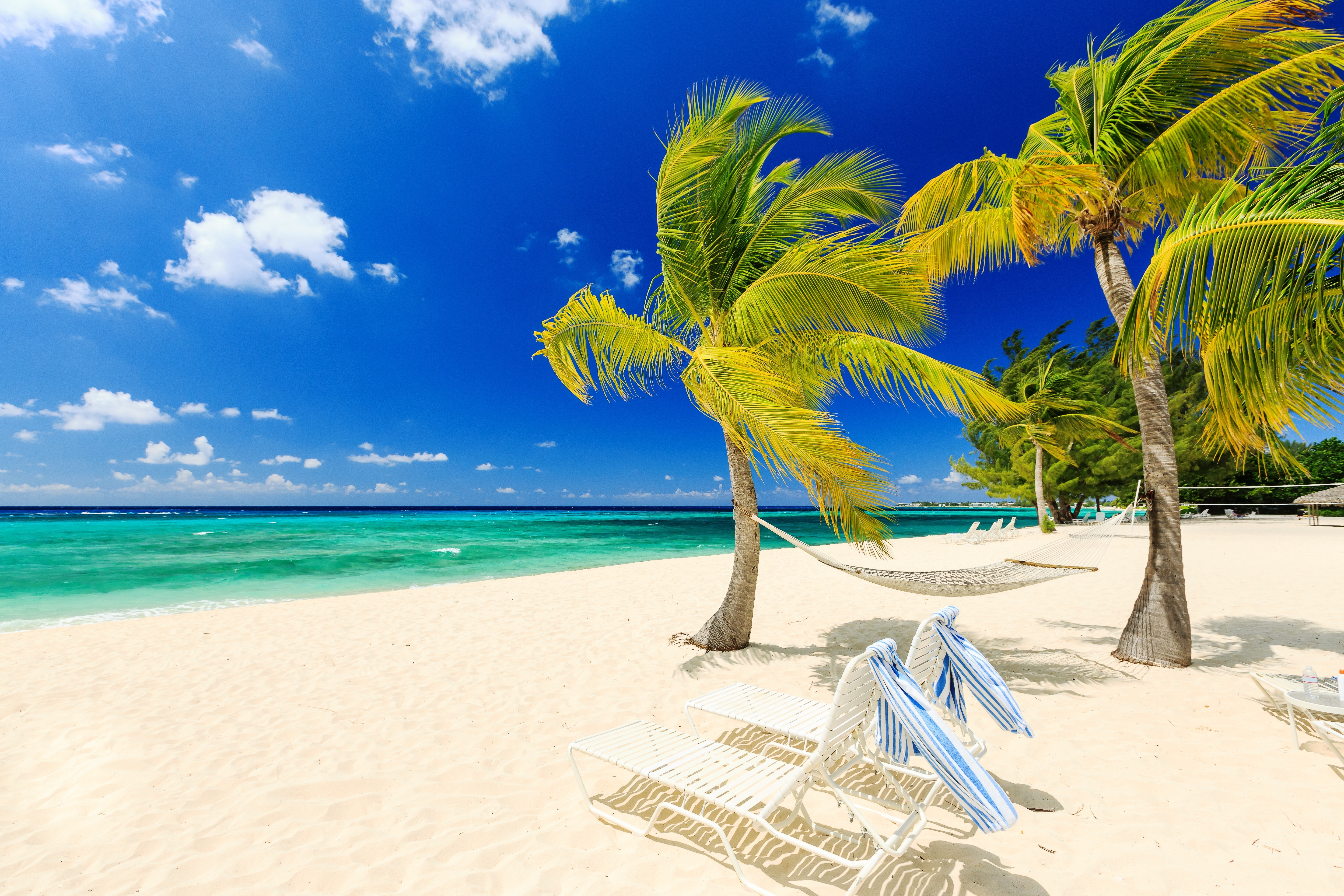 824201 descargar fondo de pantalla fotografía, playa, silla, hamaca, horizonte, océano, palmera, mar, tropico, viento: protectores de pantalla e imágenes gratis