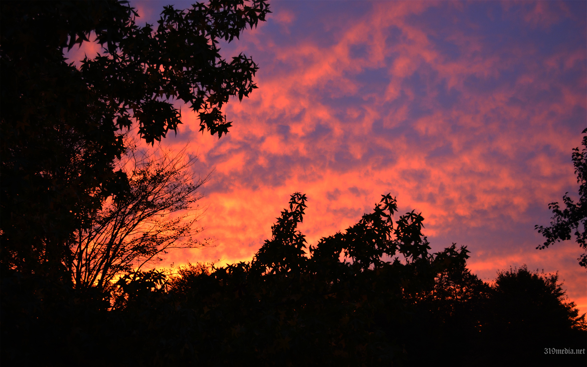 Download mobile wallpaper Nature, Sunset, Earth, Purple, Orange (Color) for free.