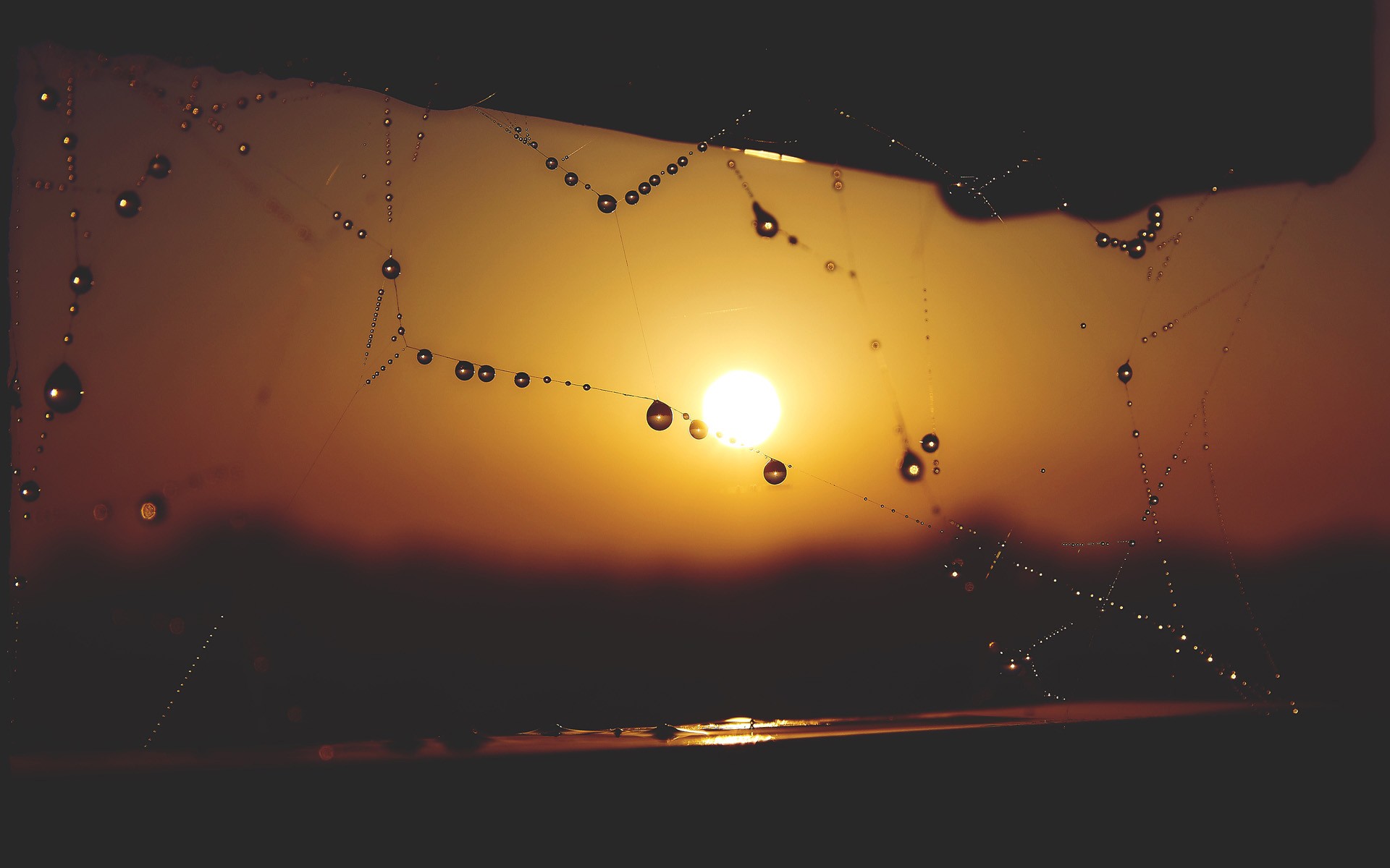 無料モバイル壁紙日没, 大きい, 太陽, クモの巣, 写真撮影, 露滴, 被写界深度をダウンロードします。