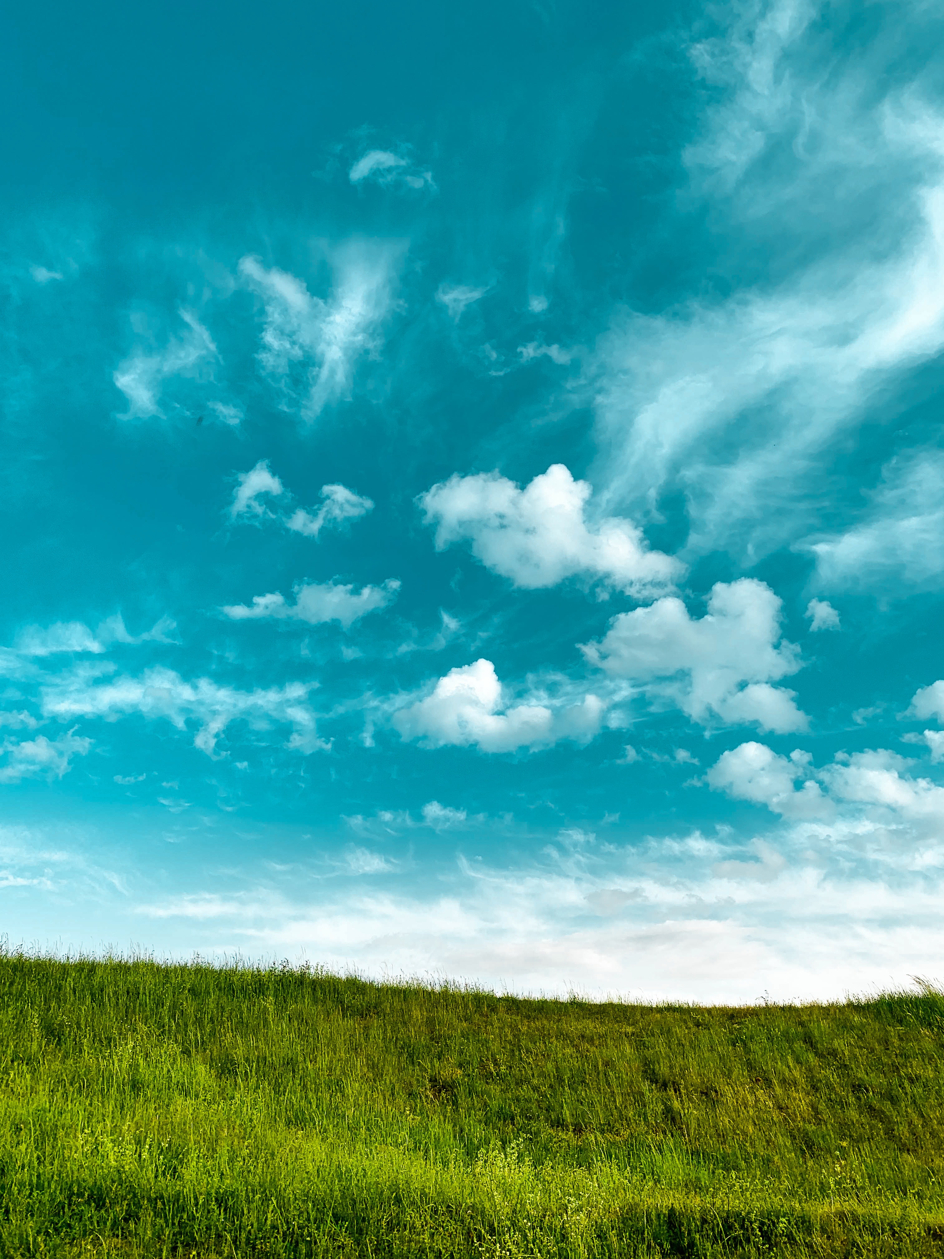 minimalism, clouds, nature, grass, sky