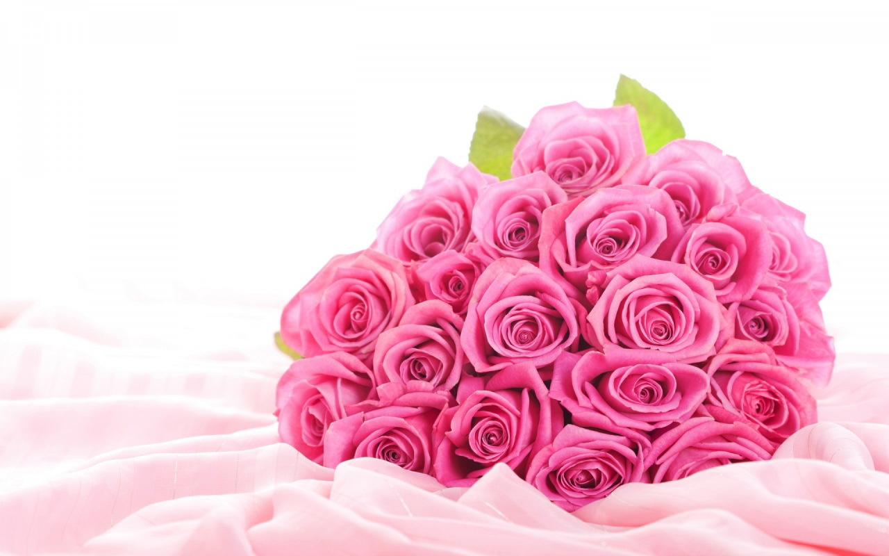 Descarga gratuita de fondo de pantalla para móvil de Plantas, Bouquets, Flores, Roses.