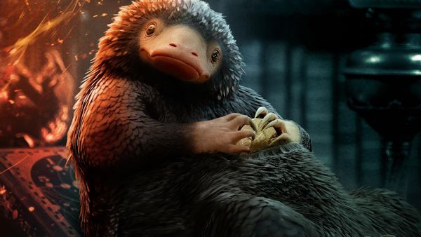 Nifter HDデスクトップ 壁紙: ファンタスティック・ビースト: ダンブルドアの秘密, ファンタスティック・ビースト, 映画ダウンロード無料画像 ...
