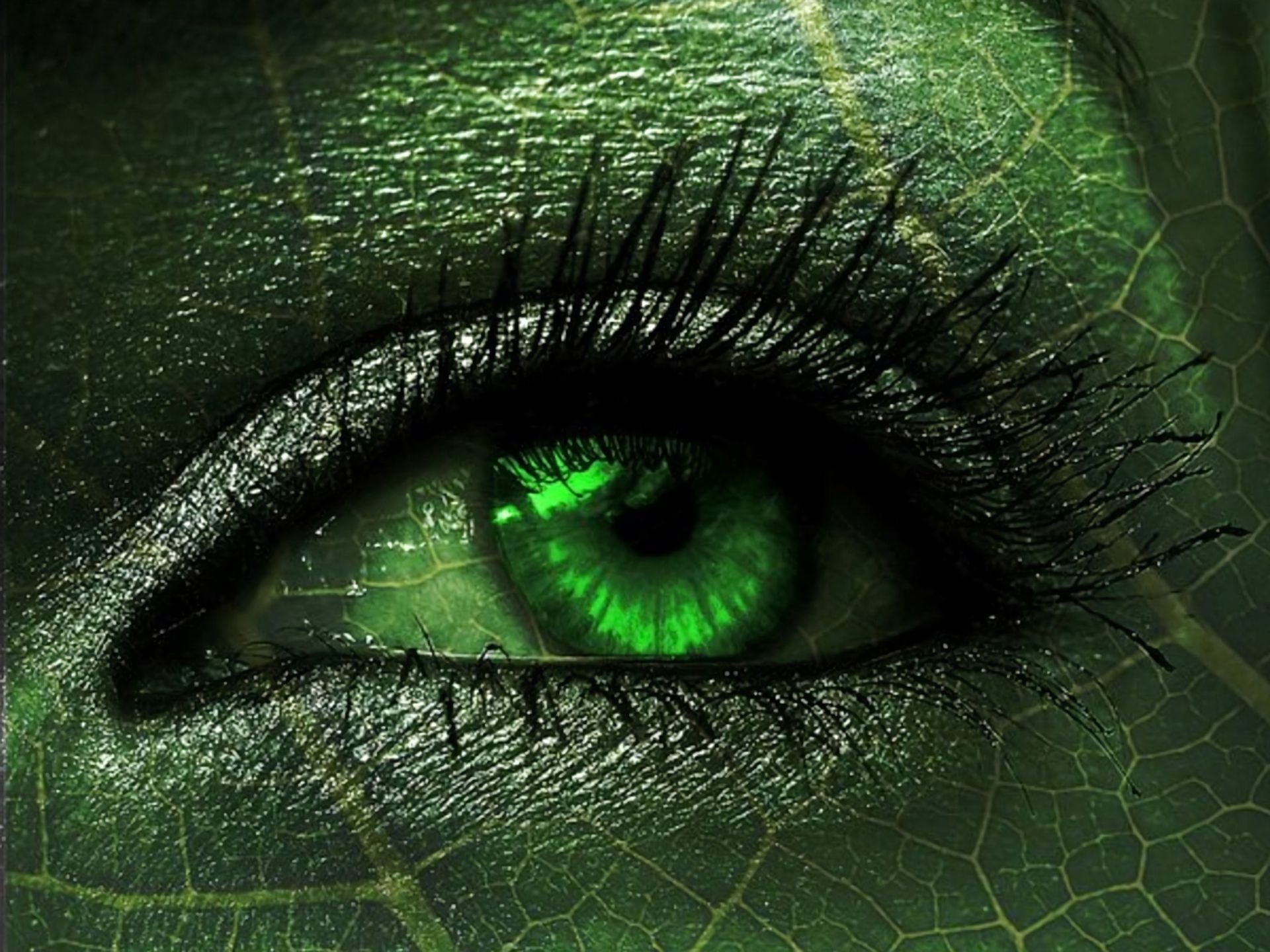 Скачать картинку Зеленый, Глаз, Зеленые Глаза, Художественные в телефон бесплатно.