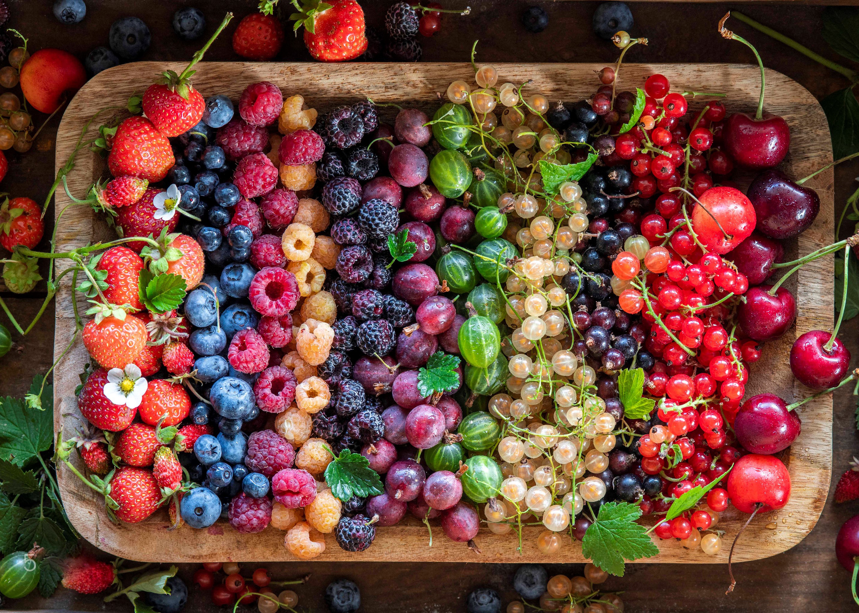 470376 завантажити шпалери ягода, харчування, фрукти, чорниця, вишня, смородина, агрус, малина, натюрморт, полуниця - заставки і картинки безкоштовно