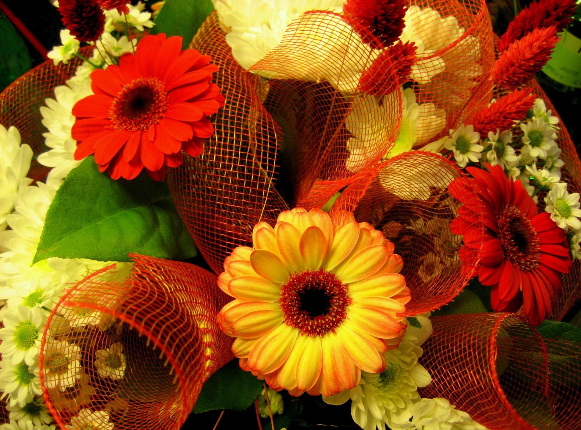 Free download wallpaper Flowers, Gerberas, Typography, Registration, Bouquet, Multicolored on your PC desktop