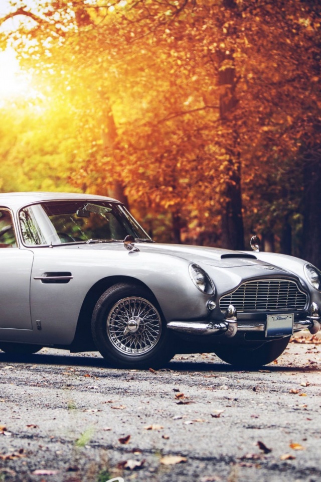 Handy-Wallpaper Auto, Herbst, Aston Martin, Autos, Oldtimer, Fahrzeuge, Silbernes Auto, Aston Martin Db5 kostenlos herunterladen.