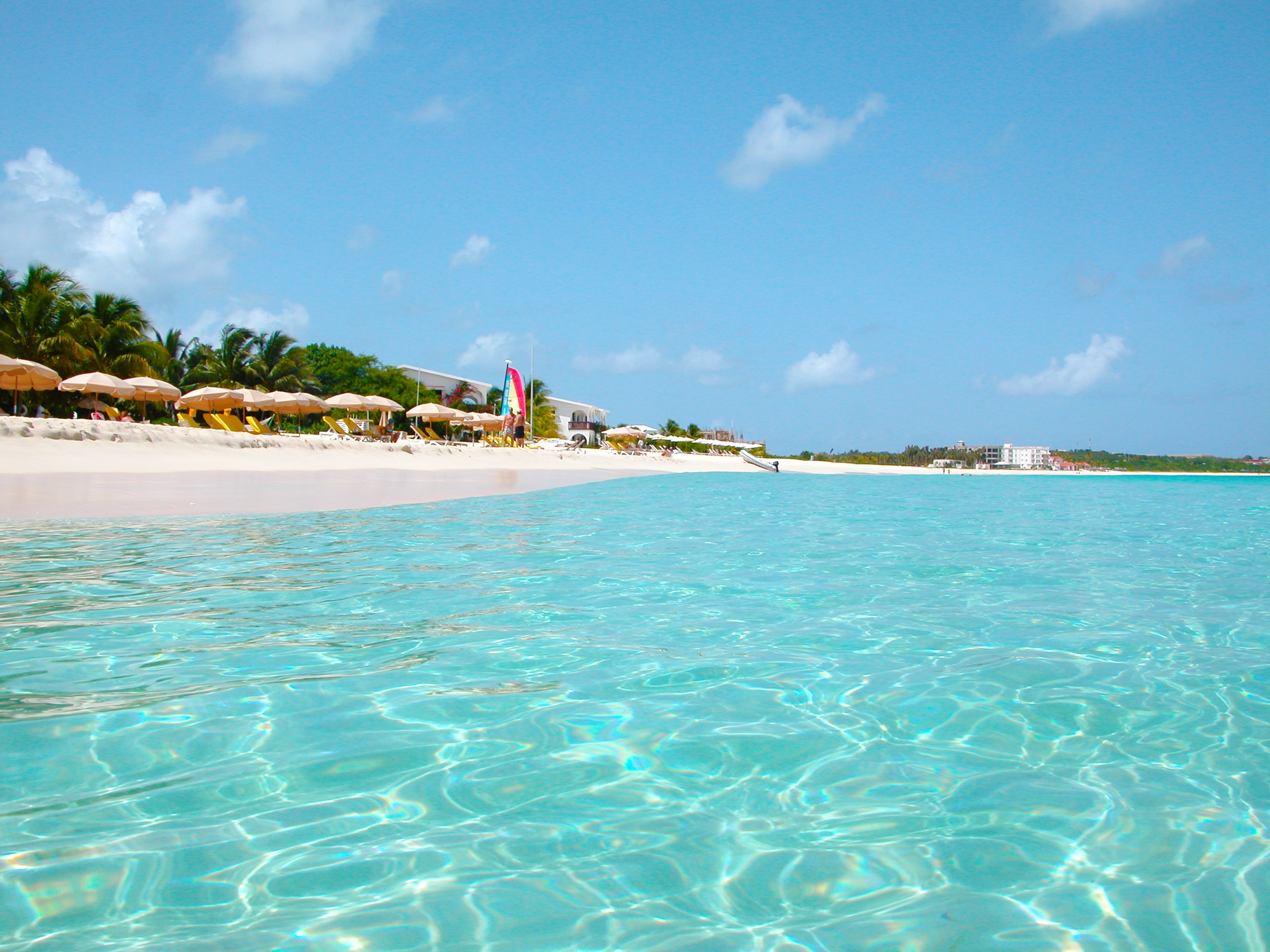 beach, nature, sea, sand, palms, tropics HD for desktop 1080p