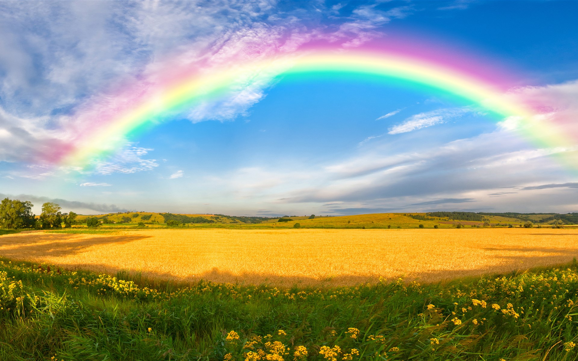 Download mobile wallpaper Sky, Summer, Wheat, Rainbow, Earth, Field for free.