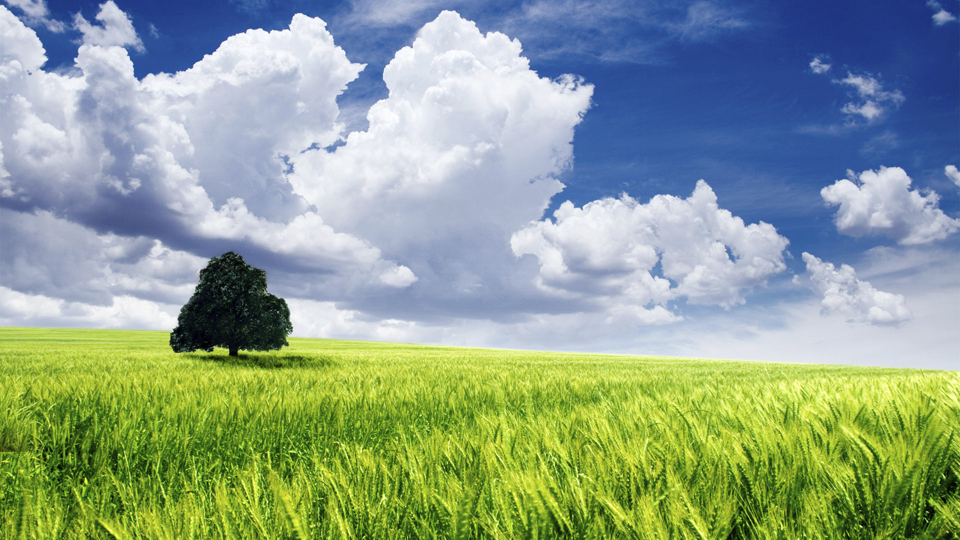 Free download wallpaper Landscape, Tree, Earth, Field on your PC desktop