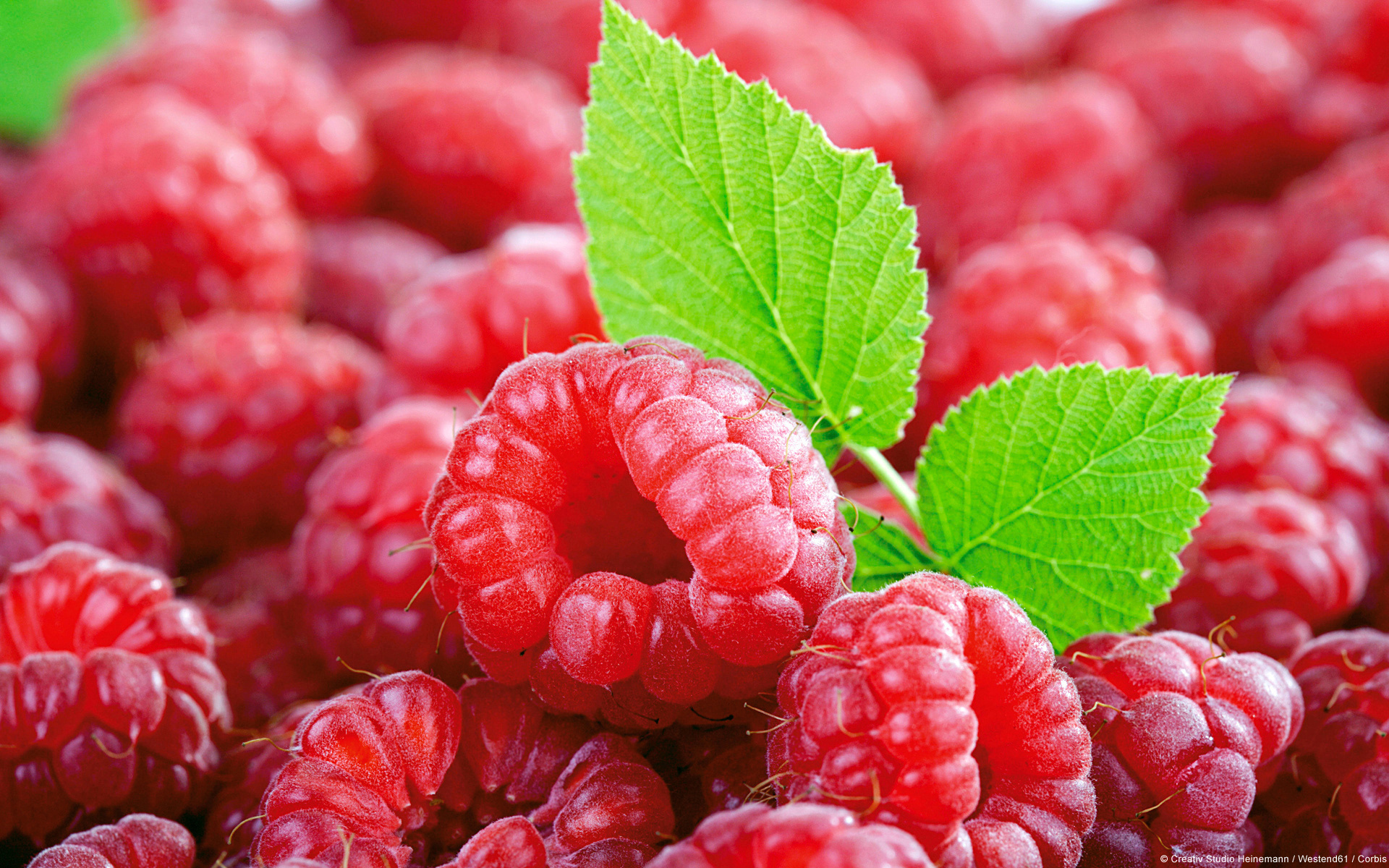 Free download wallpaper Raspberry, Food, Fruits on your PC desktop