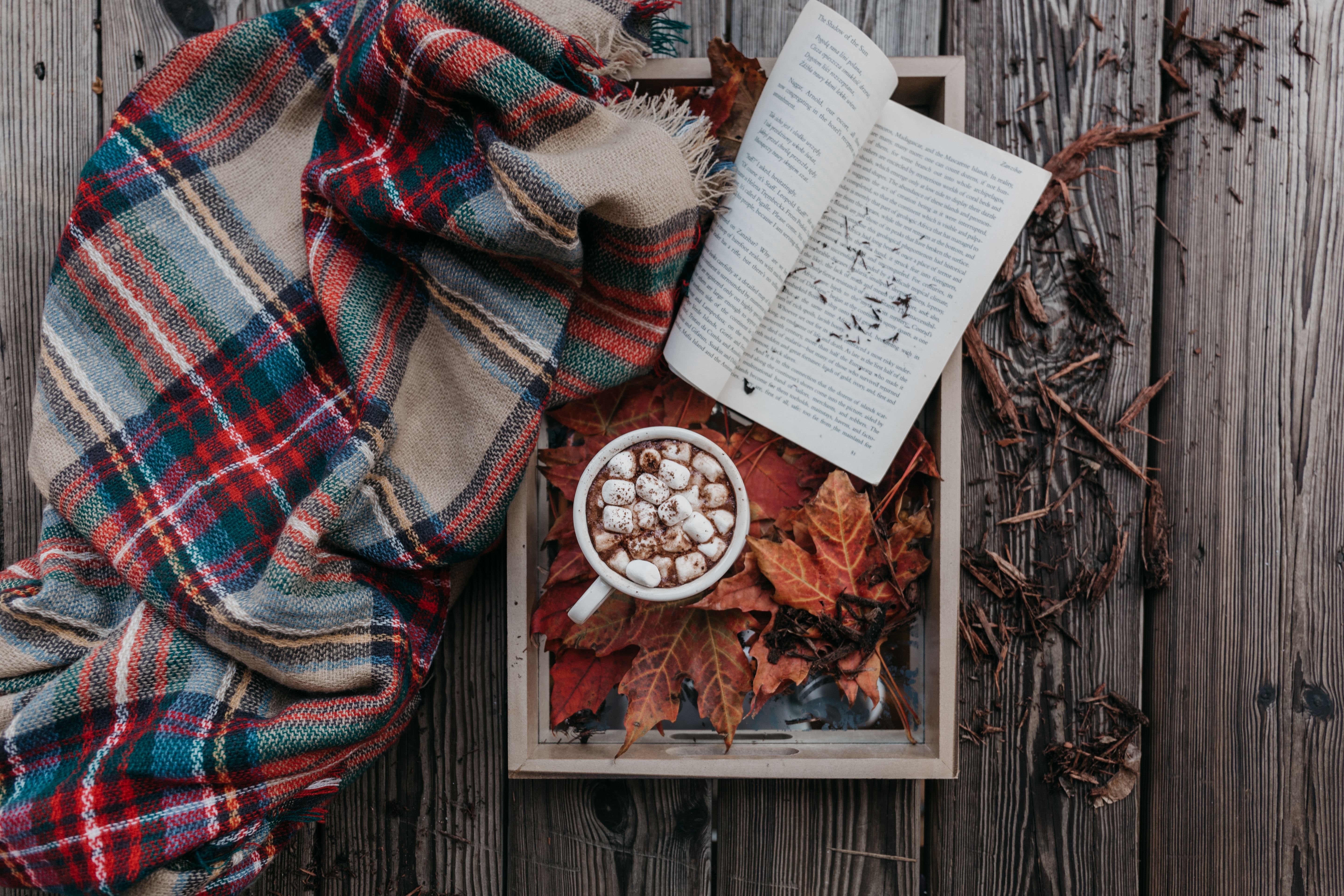 autumn, cocoa, zephyr, marshmallow, book, food, plaid