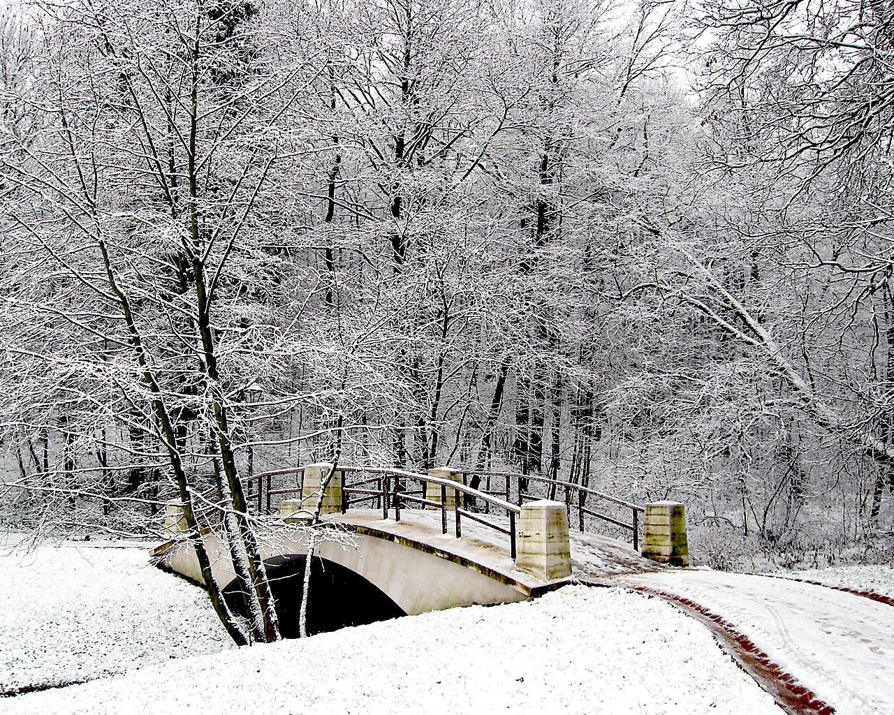 winter, nature, snow, park, bridge, frost, hoarfrost