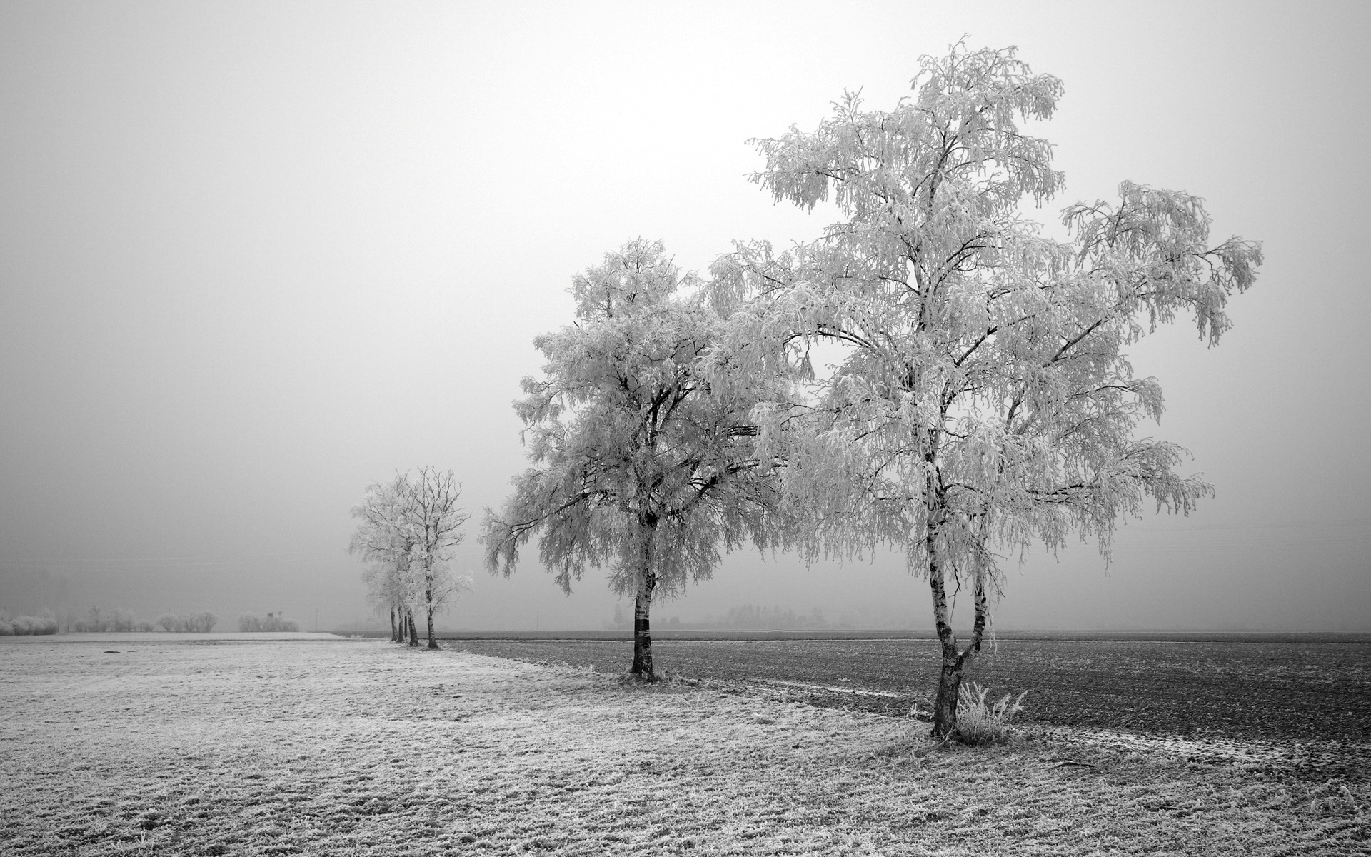 Laden Sie das Winter, Erde/natur-Bild kostenlos auf Ihren PC-Desktop herunter