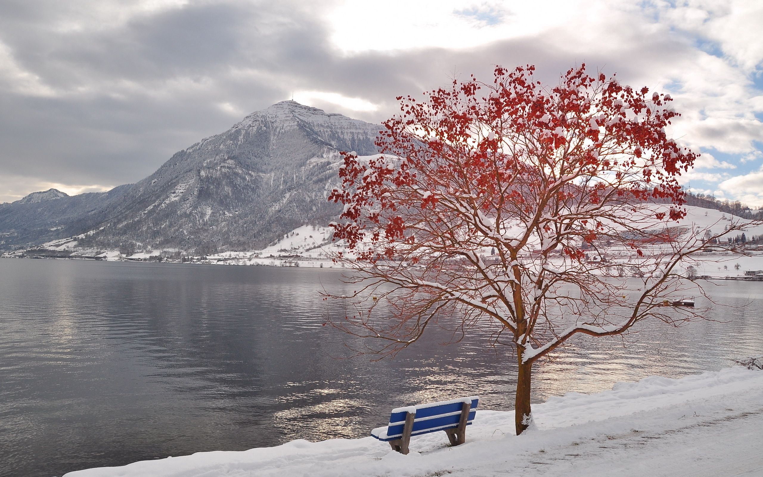 mountain, autumn, wood, leaves, nature, lake, tree, frost, bench, october