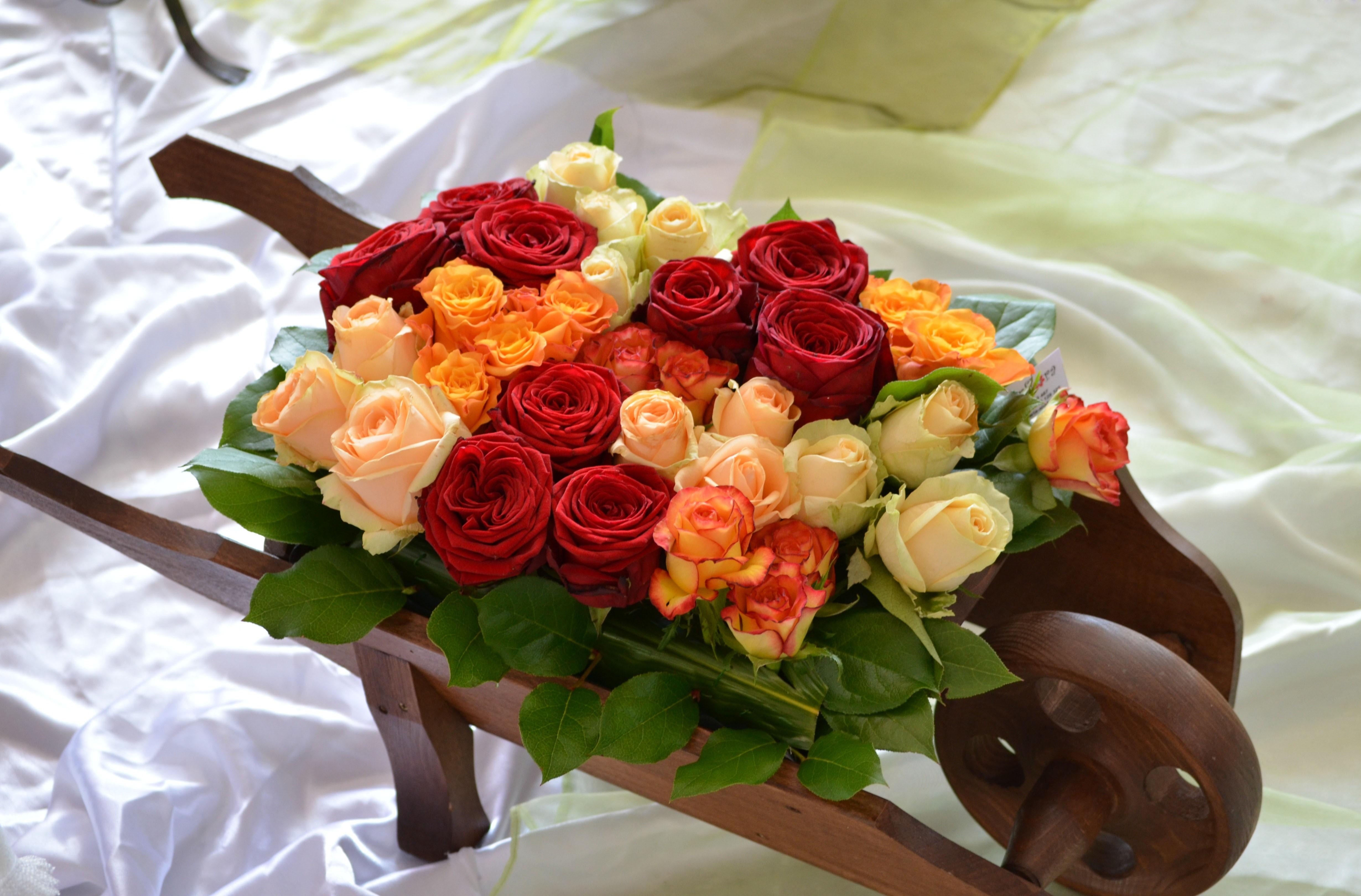 bed, flowers, roses, buds, note, different, cart
