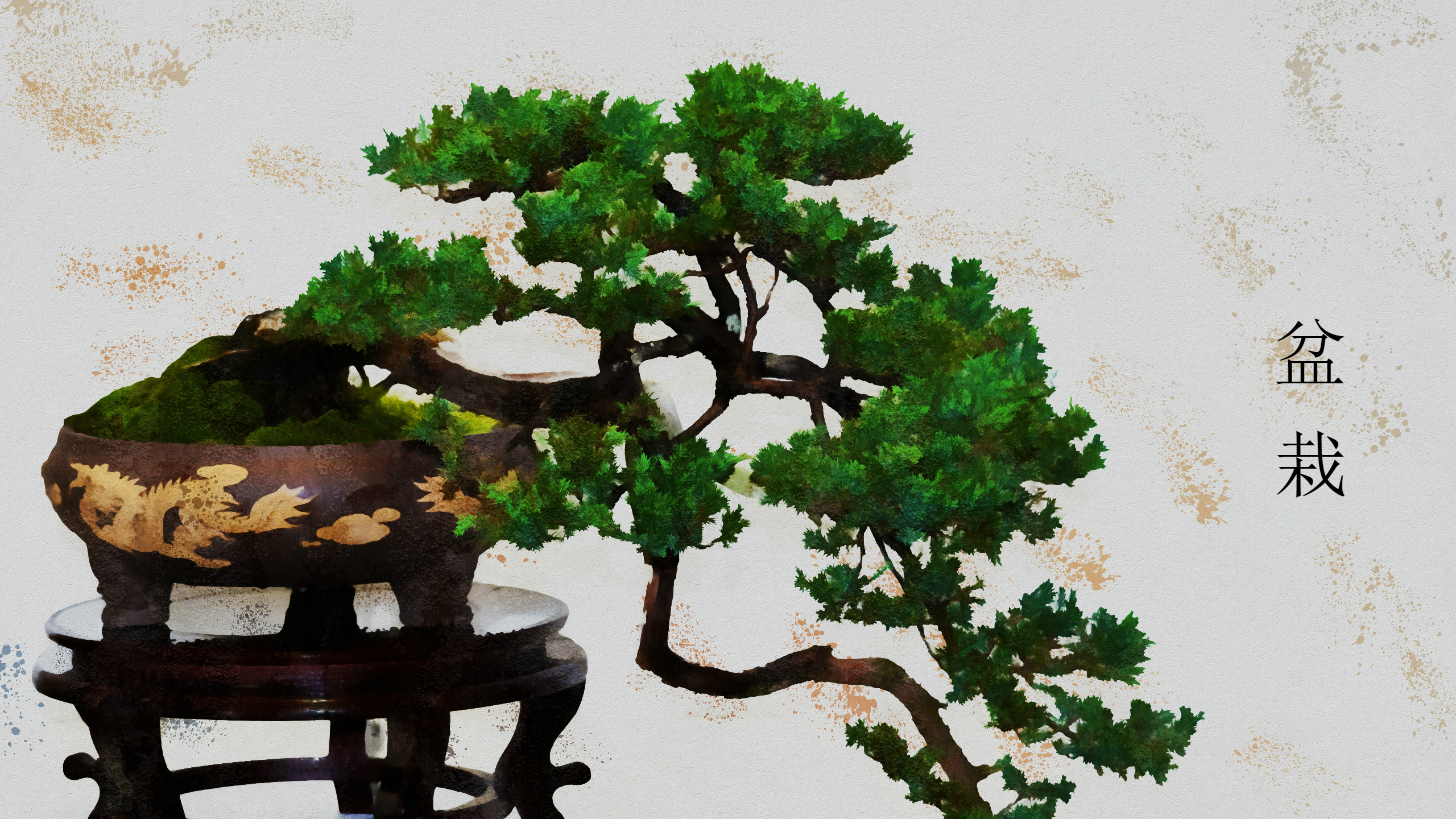 863193 descargar imagen tierra/naturaleza, bonsái, kanji, planta, maceta, árbol: fondos de pantalla y protectores de pantalla gratis