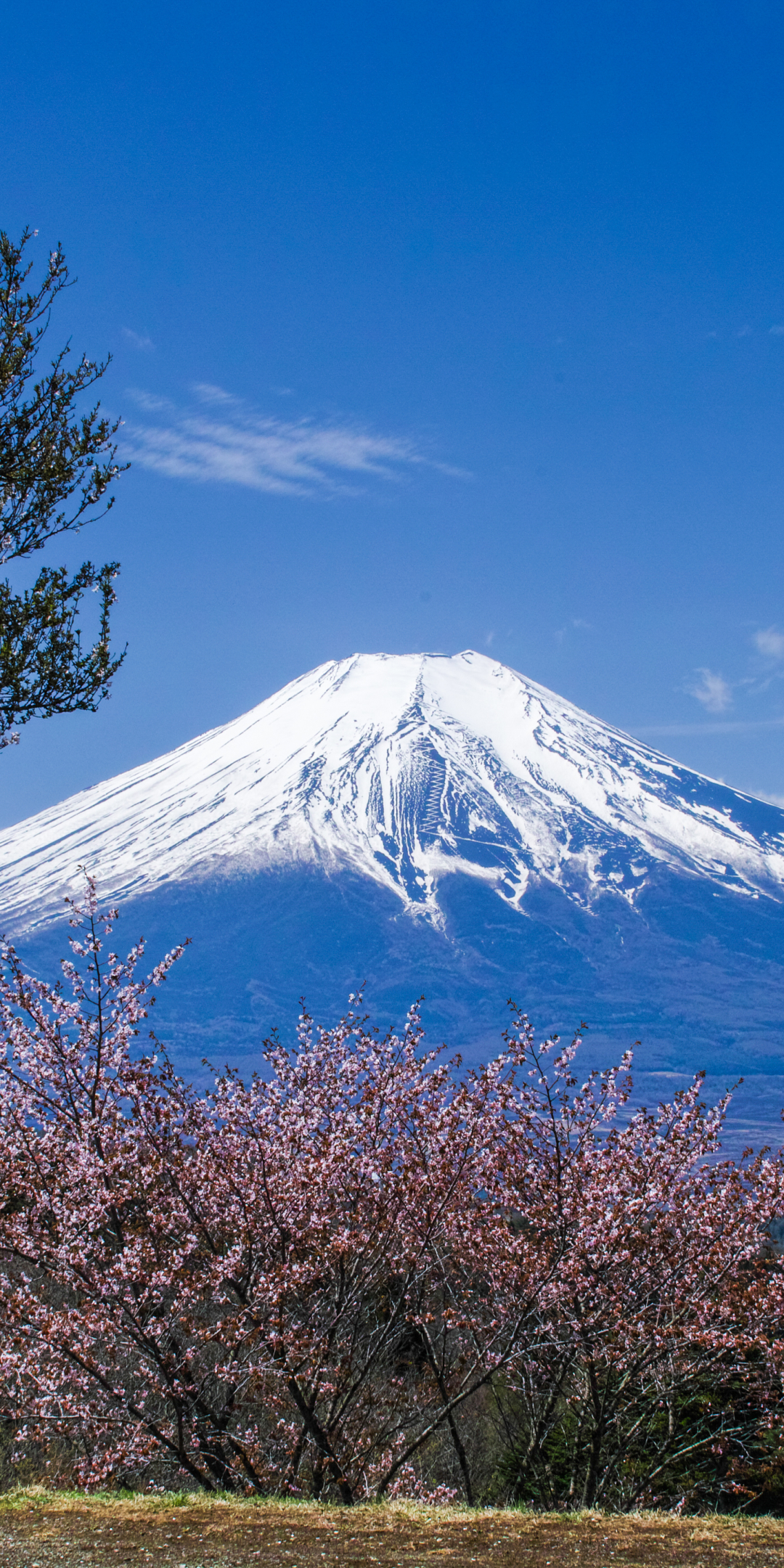 Скачать картинку Япония, Вулкан, Гора Фудзи, Вулканы, Земля/природа, Саммит в телефон бесплатно.