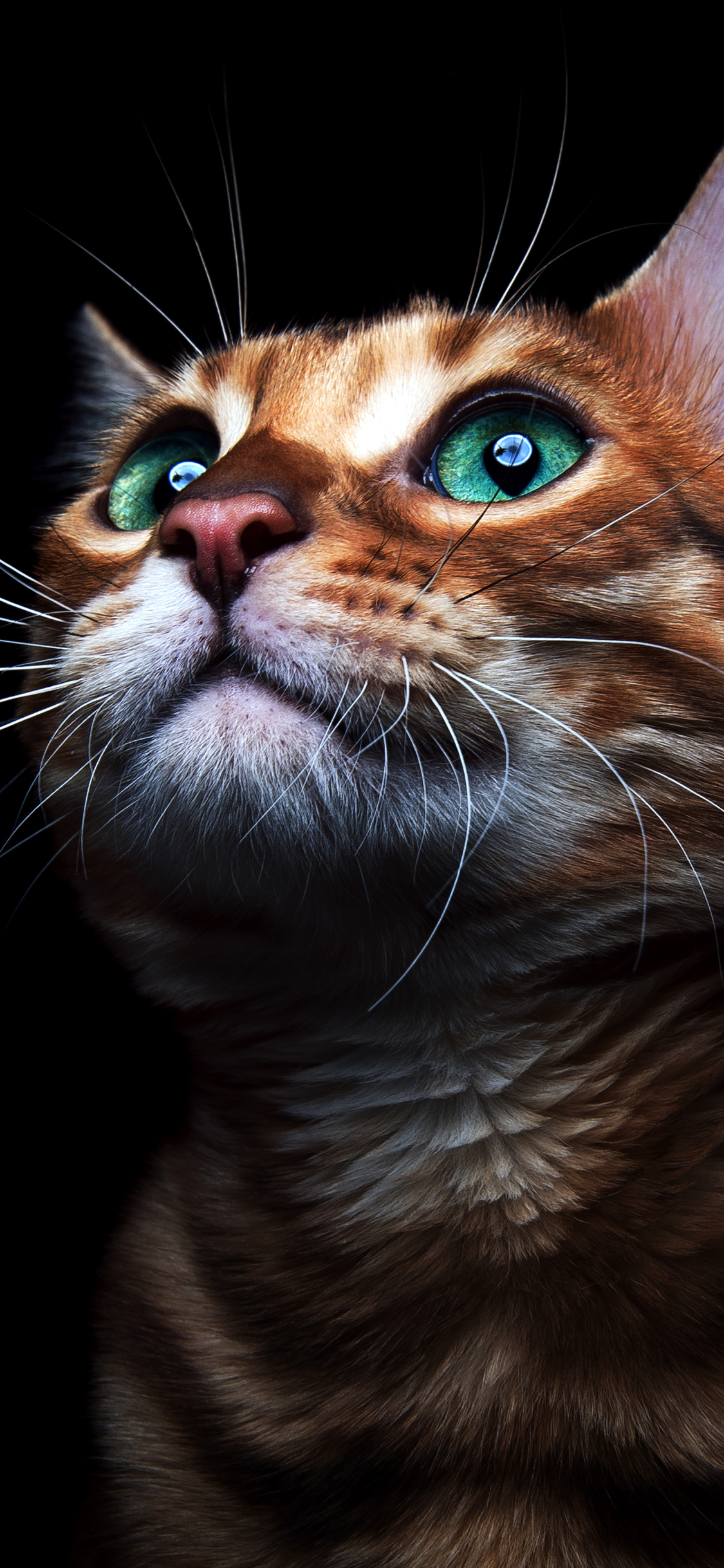 Download mobile wallpaper Cats, Cat, Kitten, Animal, Green Eyes for free.