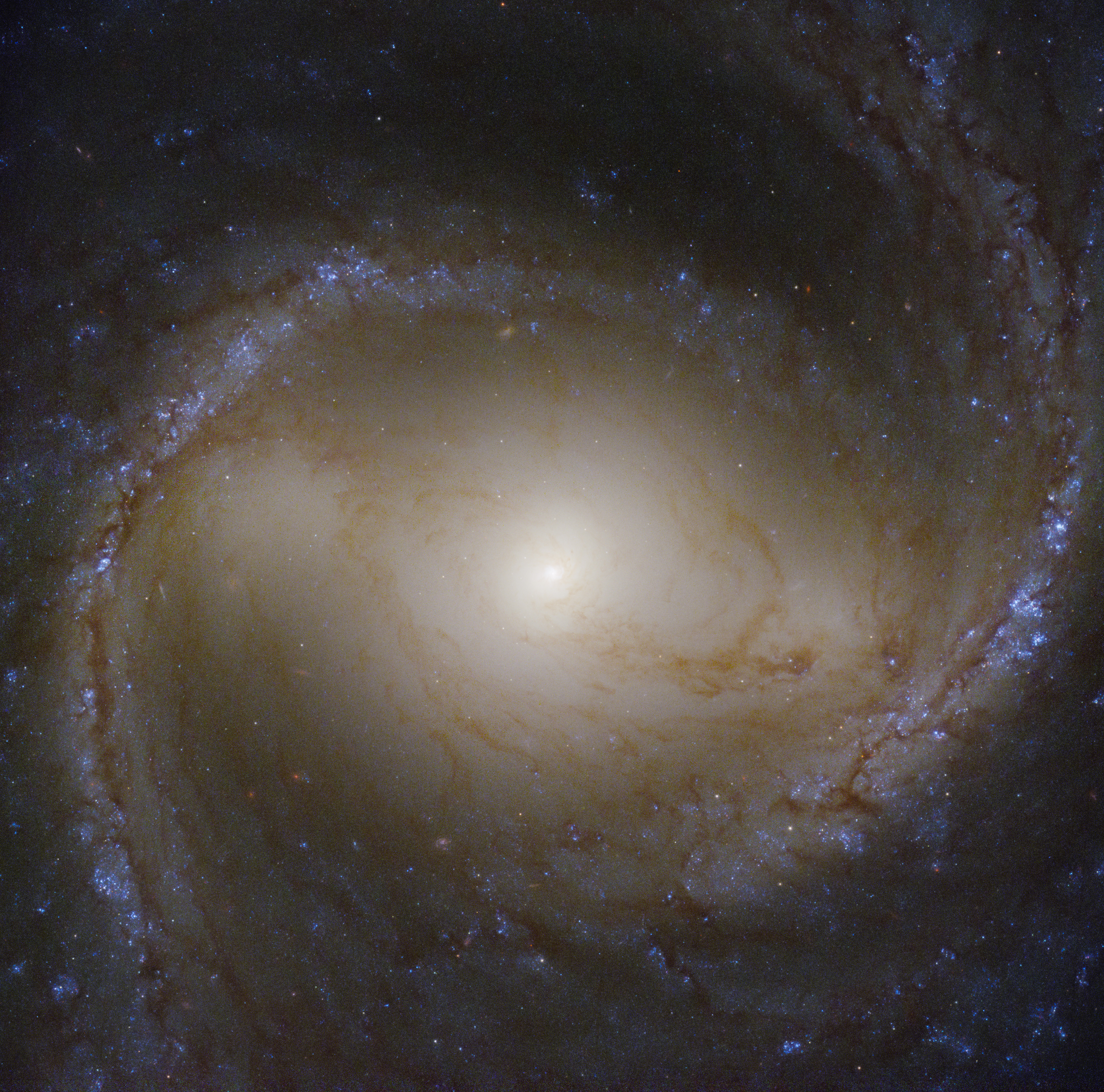 Скачать картинку Messier 91, Спираль, Свет, Звезды, Галактика, Космос в телефон бесплатно.