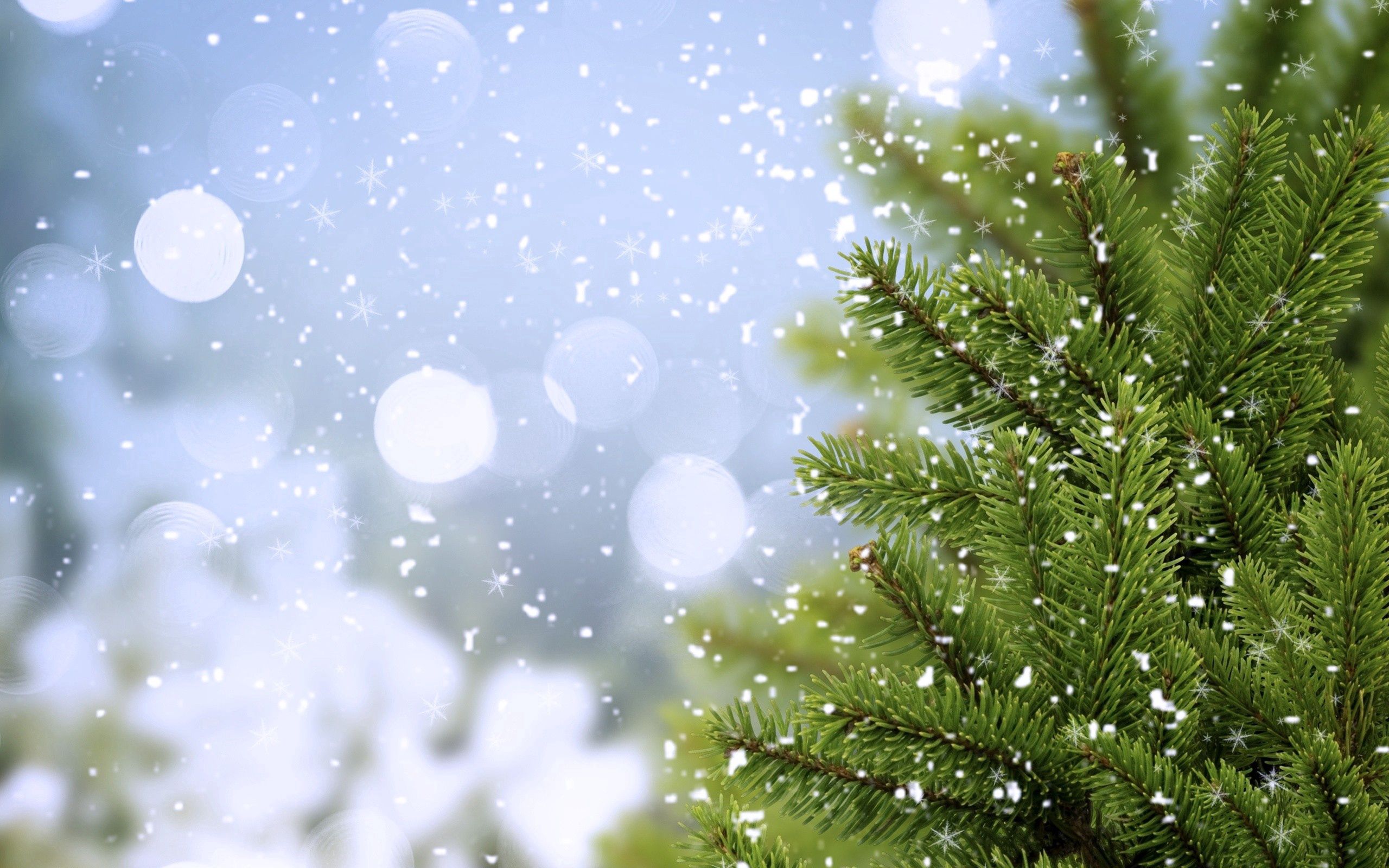 Baixe gratuitamente a imagem Neve, Madeira, Spruce, Abeto, Natureza, Árvore na área de trabalho do seu PC