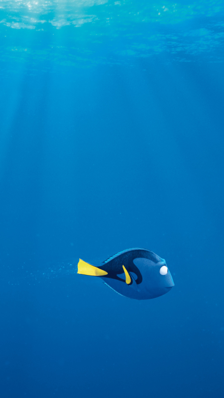 dory (finding nemo), movie, finding dory HD wallpaper
