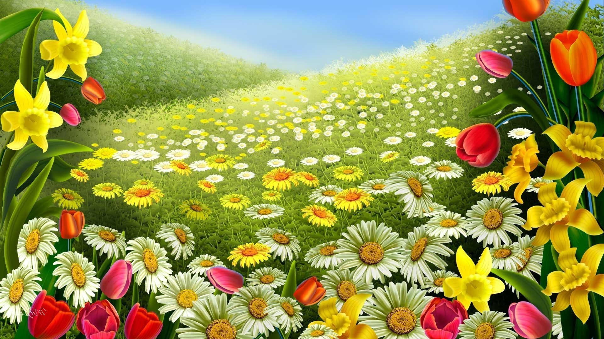 Free download wallpaper Flowers, Flower, Artistic, Daisy on your PC desktop