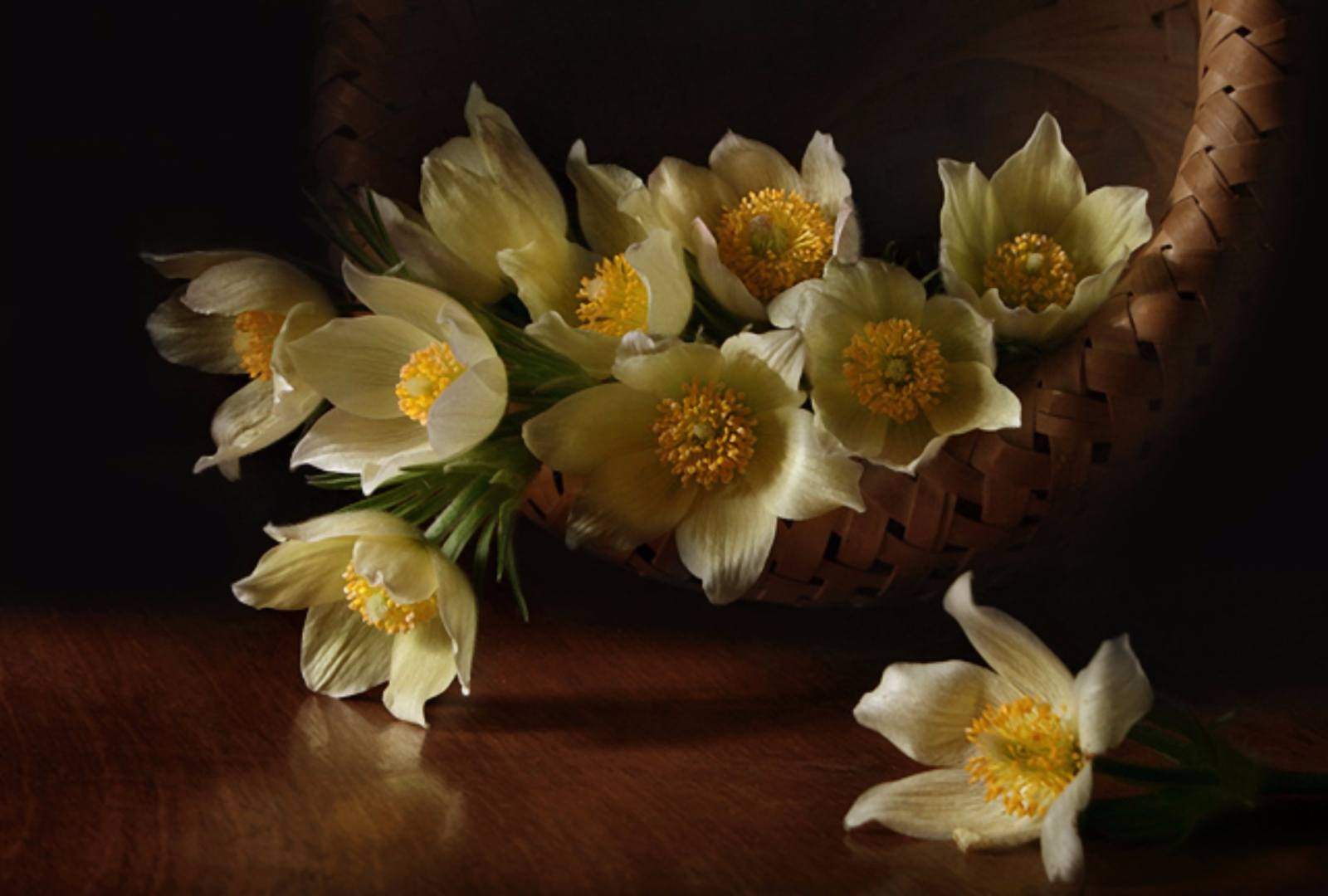 Laden Sie das Blume, Nahansicht, Korb, Fotografie, Weiße Blume, Stillleben-Bild kostenlos auf Ihren PC-Desktop herunter