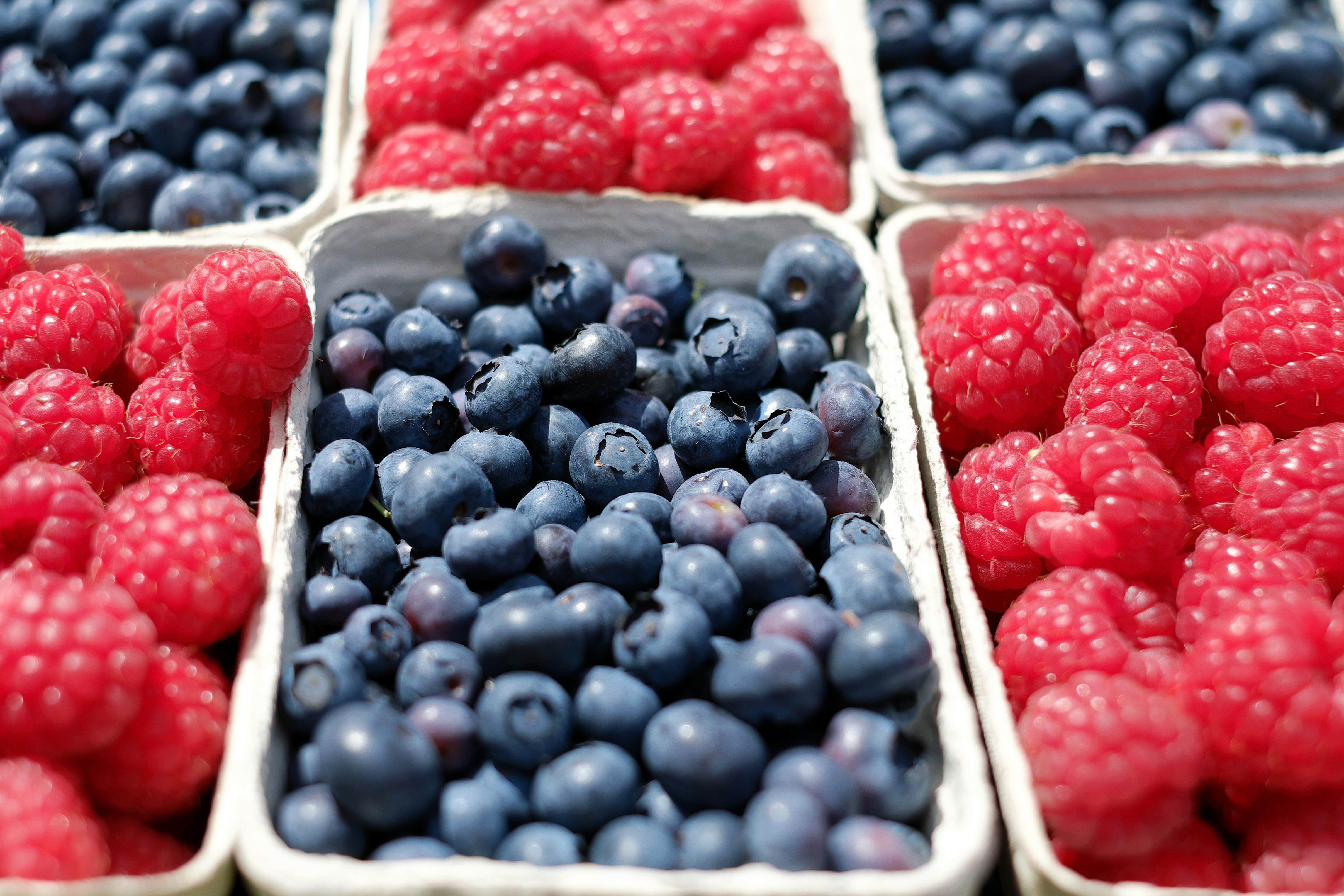 Laden Sie das Himbeere, Frucht, Heidelbeere, Nahrungsmittel-Bild kostenlos auf Ihren PC-Desktop herunter