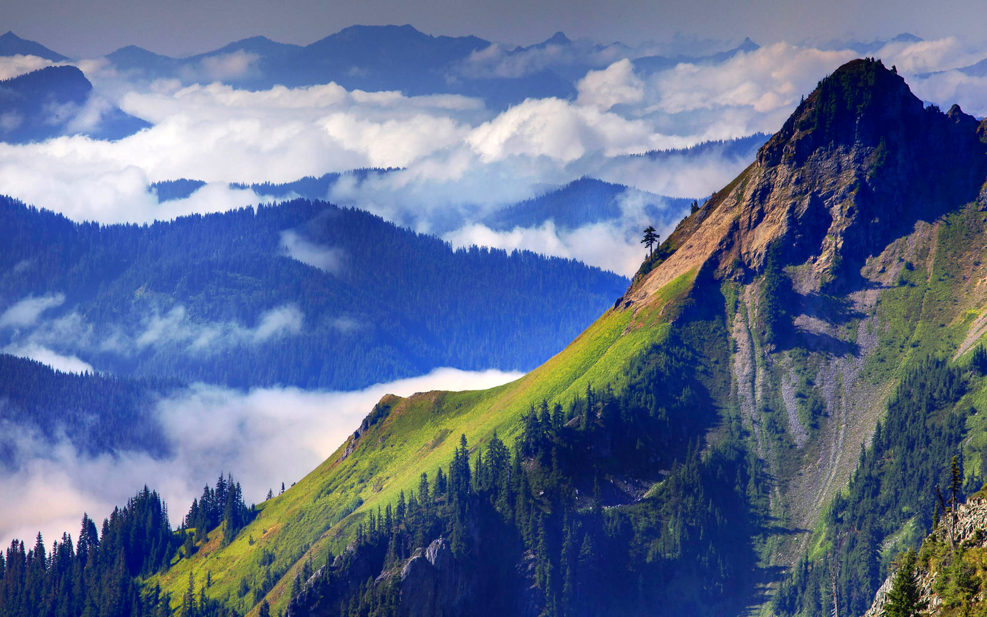 Laden Sie das Landschaft, Wald, Nebel, Gebirge, Wolke, Szene, Berge, Erde/natur-Bild kostenlos auf Ihren PC-Desktop herunter