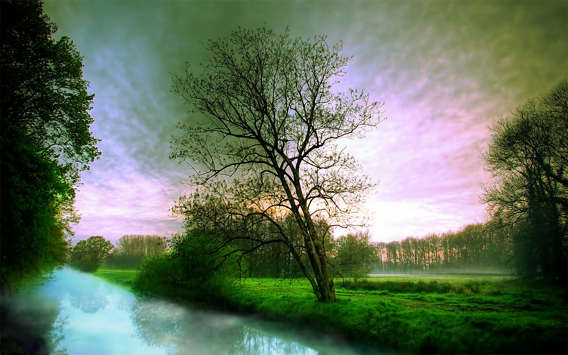 無料モバイル壁紙風景, 川, 木をダウンロードします。