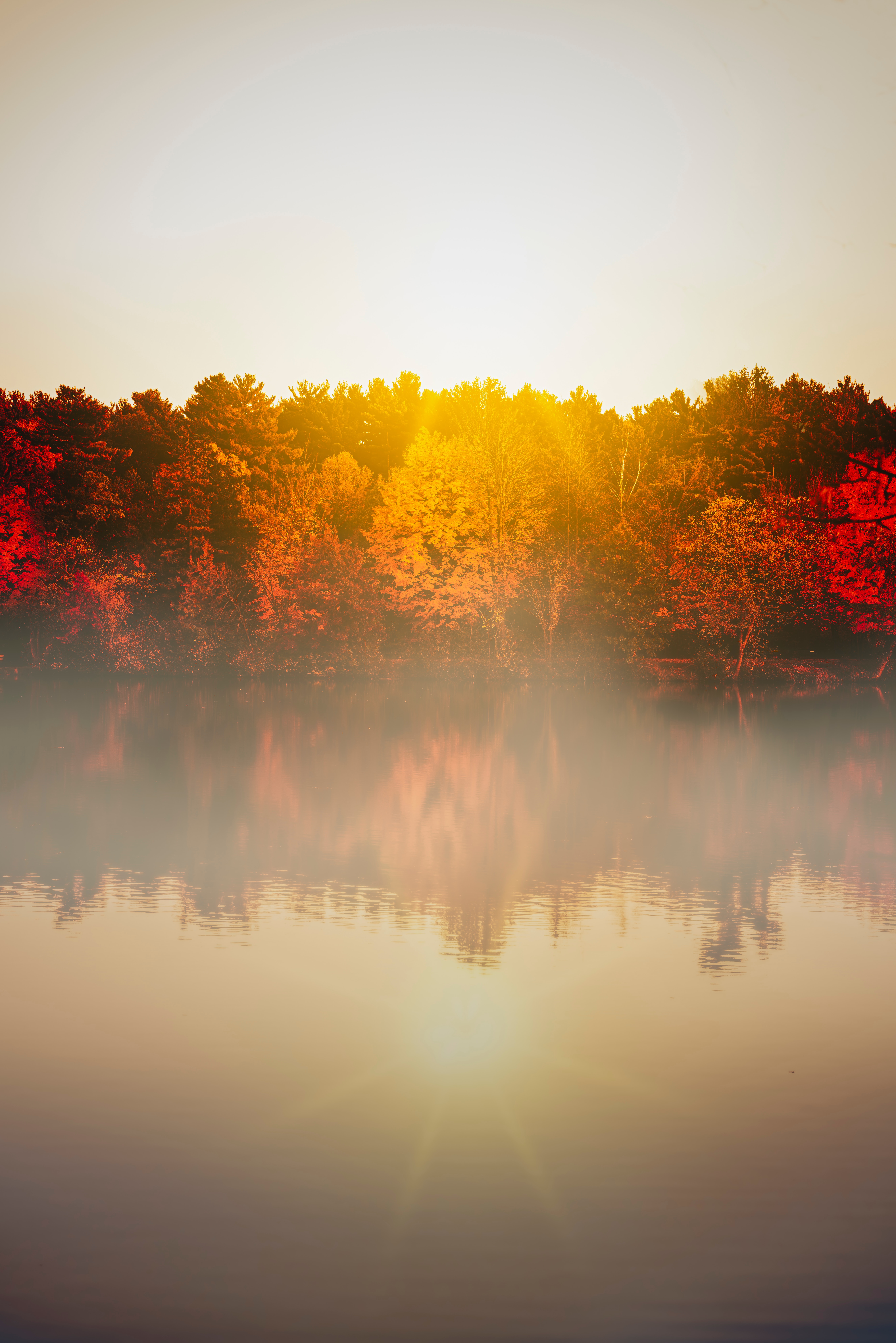 Free download wallpaper Nature, Trees, Lake, Fog, Sunlight, Landscape on your PC desktop