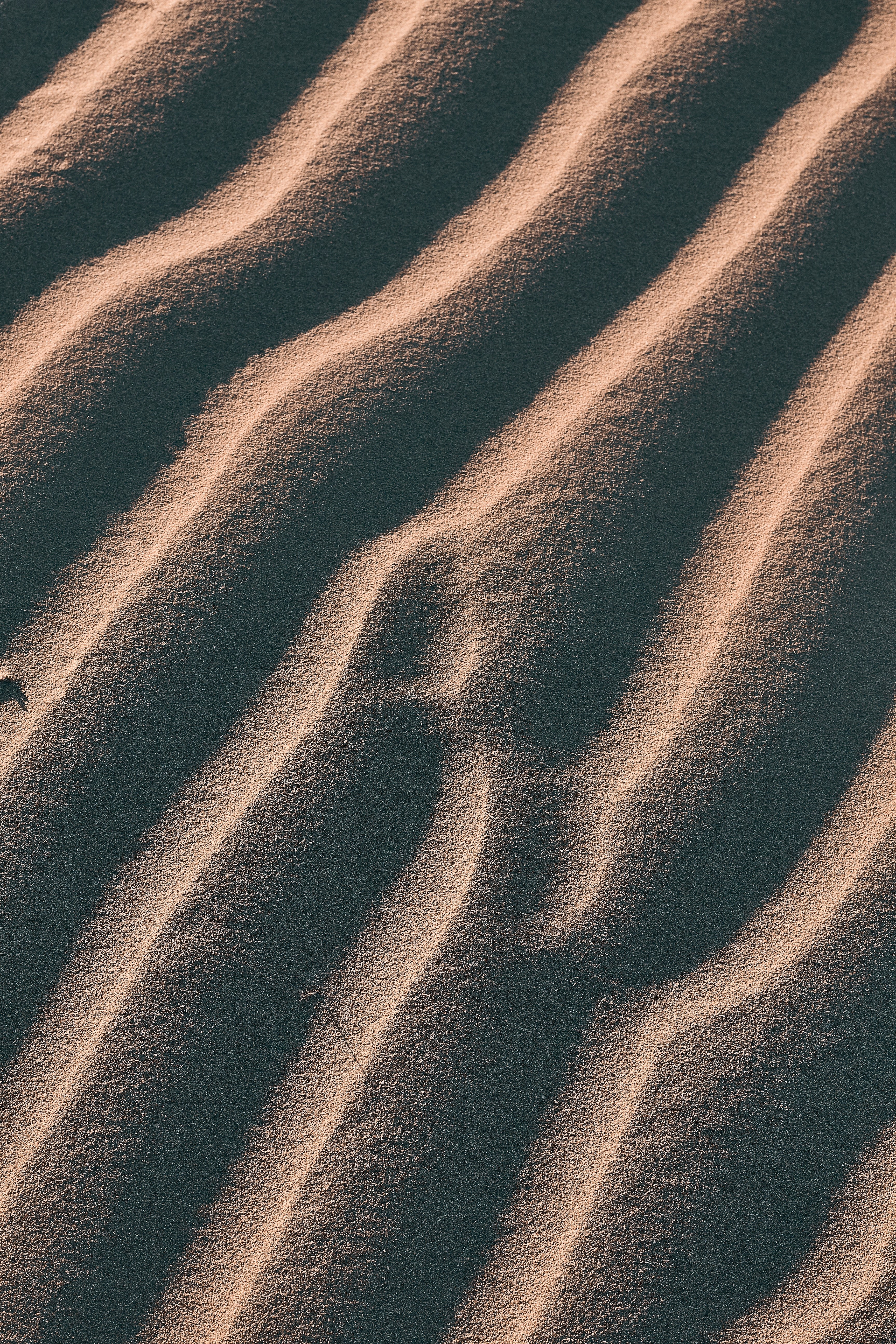Free download wallpaper Nature, Desert, Relief, Links, Dunes, Sand on your PC desktop