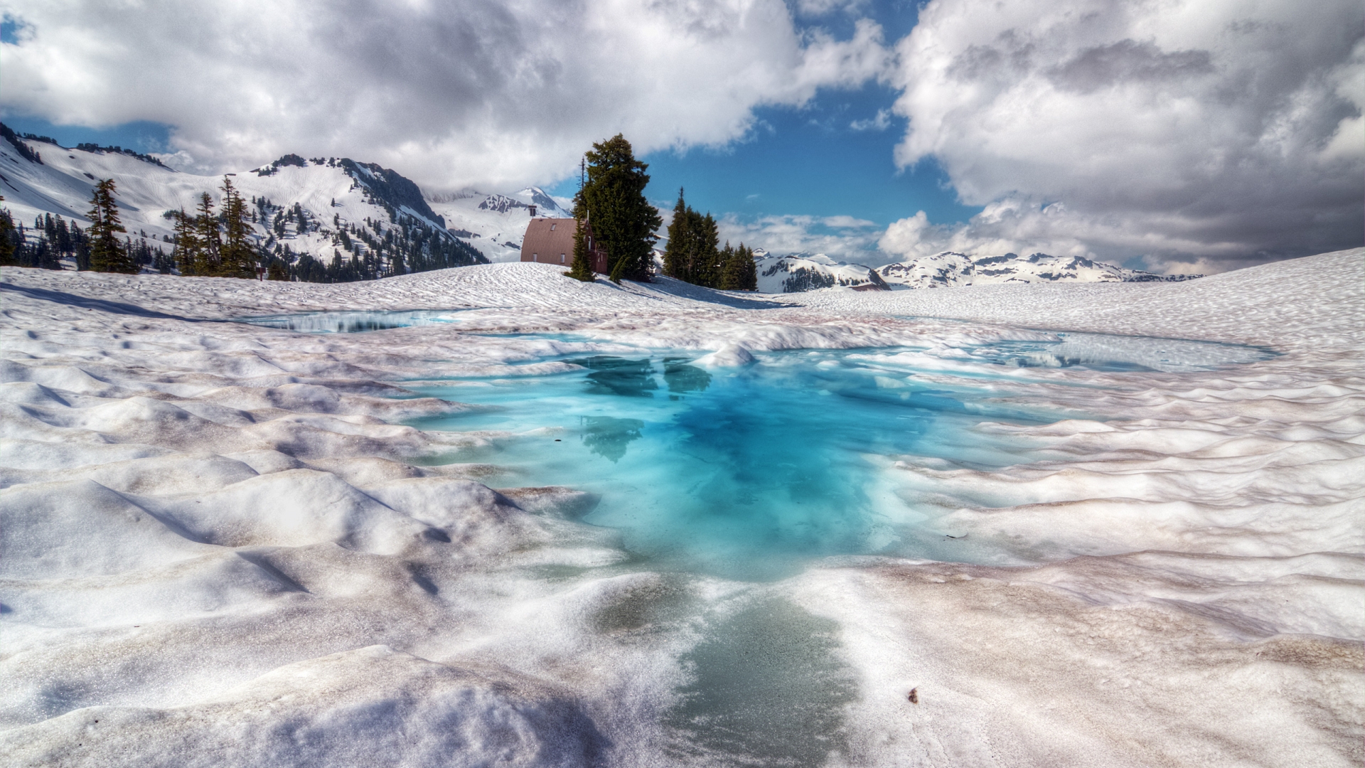 Téléchargez gratuitement l'image Hiver, Lac, Arbre, Terre, Photographie, Neiger sur le bureau de votre PC