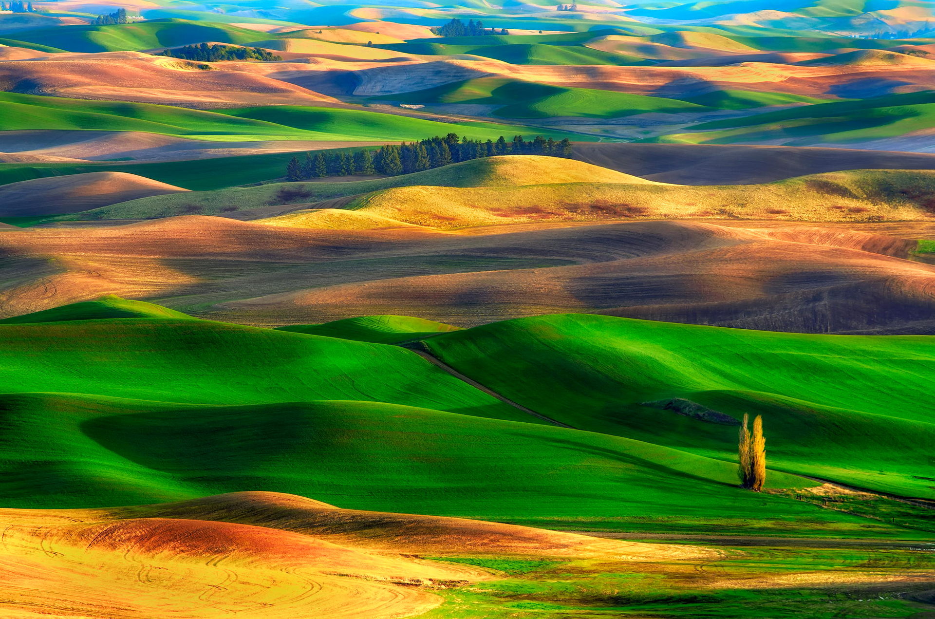 Download mobile wallpaper Landscape, Italy, Field, Hill, Photography, Tuscany for free.