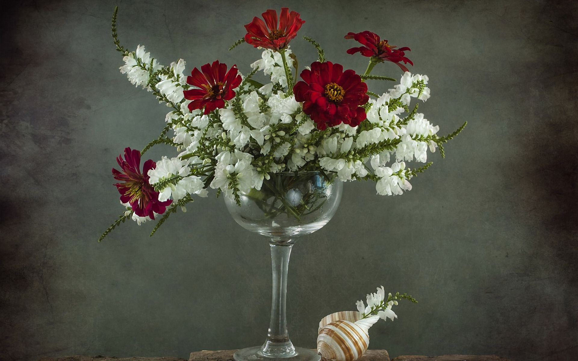photography, still life, flower, goblet, red flower, shell, white flower