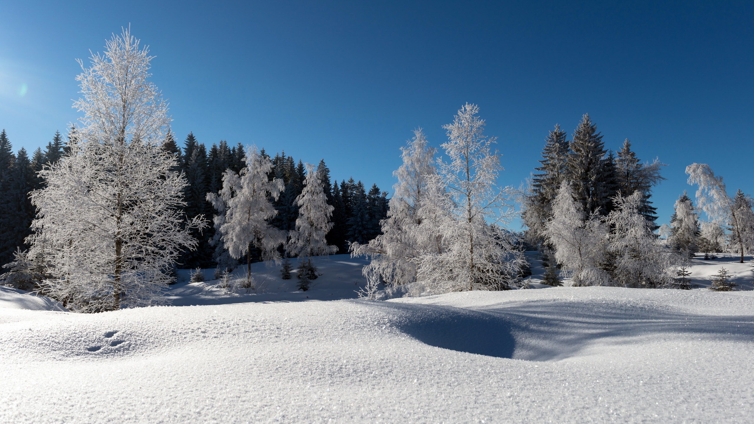 Téléchargez gratuitement l'image Hiver, Terre/nature sur le bureau de votre PC