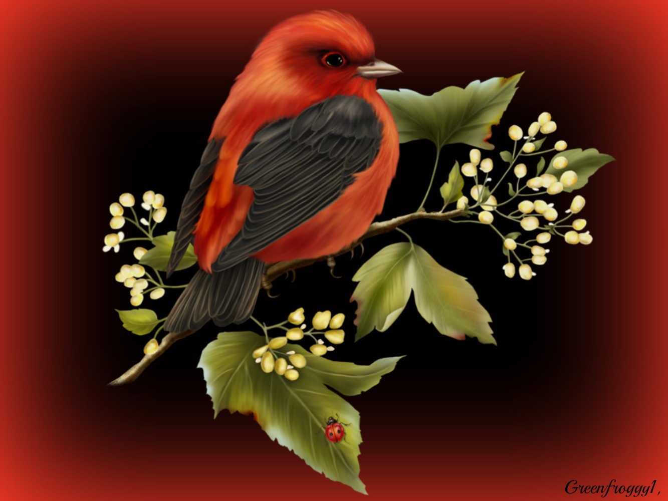 Téléchargez des papiers peints mobile Animaux, Oiseau, Des Oiseaux gratuitement.