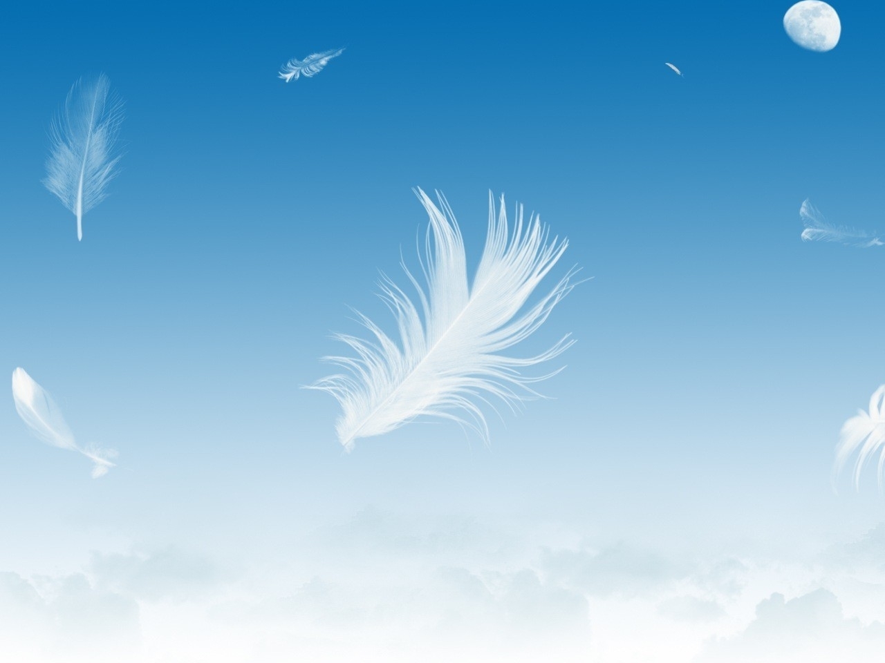 Download mobile wallpaper Feather, Background for free.