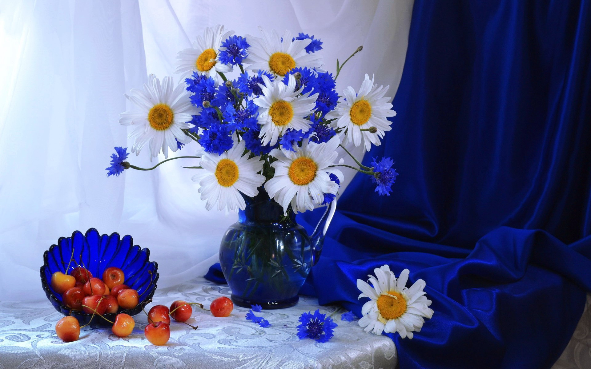 Handy-Wallpaper Kirsche, Blume, Vase, Gänseblümchen, Fotografie, Weiße Blume, Stillleben, Blaue Blume kostenlos herunterladen.