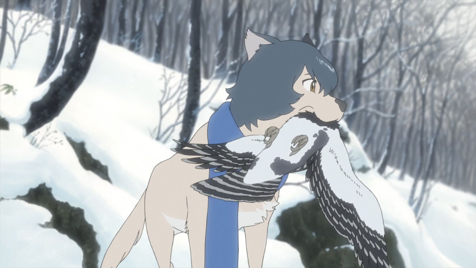 626148 скачать обои аниме, волчьи дети амэ и юки, амэ (волчьи дети), птицы, снег - заставки и картинки бесплатно