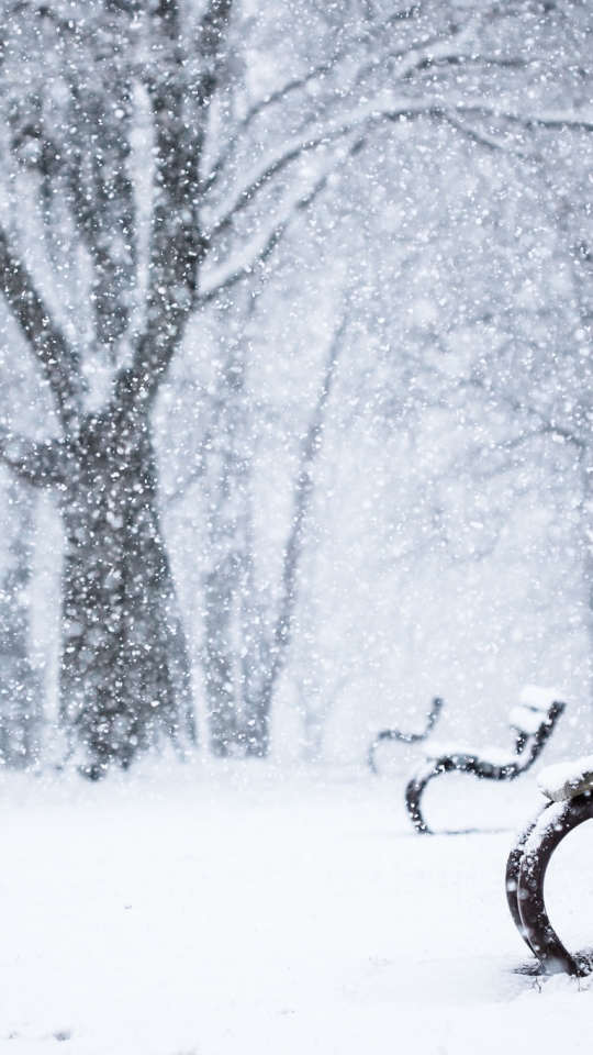 Handy-Wallpaper Winter, Schnee, Bank, Park, Fotografie, Schneefall, Tiefenschärfe kostenlos herunterladen.