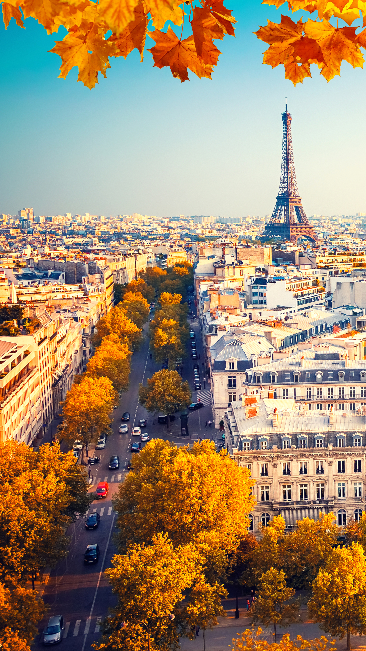 Free download wallpaper Cities, Paris, Eiffel Tower, City, Building, Fall, France, Cityscape, Street, Man Made on your PC desktop