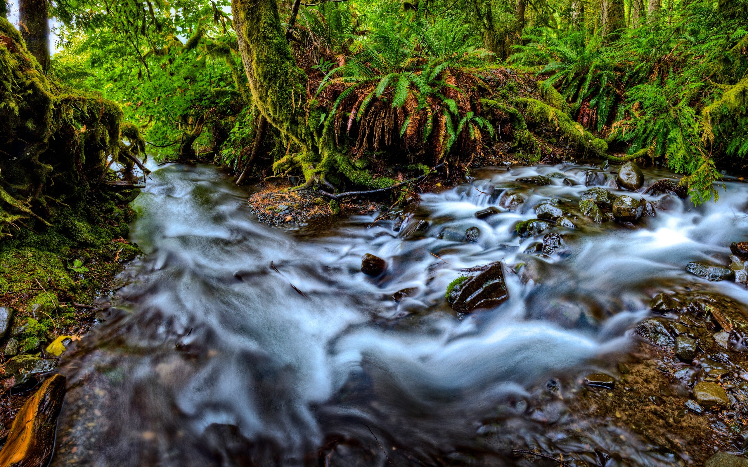 Baixe gratuitamente a imagem Corrente, Terra/natureza na área de trabalho do seu PC