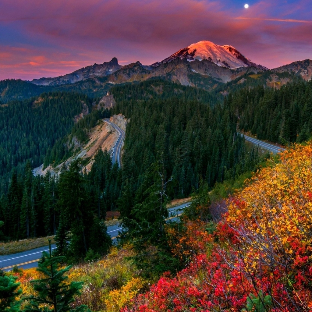 Download mobile wallpaper Landscape, Nature, Mountains, Moon, Mountain, Flower, Wood, Road, Forest, Tree, Fall, Earth, Cloud, Washington, Mount Rainier for free.