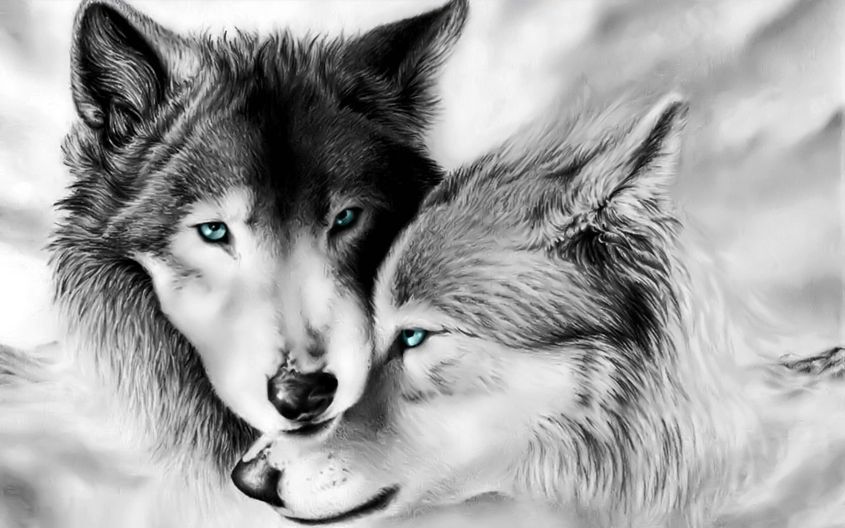 Скачать обои бесплатно Животные, Волки, Любовь, Волк, Картина картинка на рабочий стол ПК