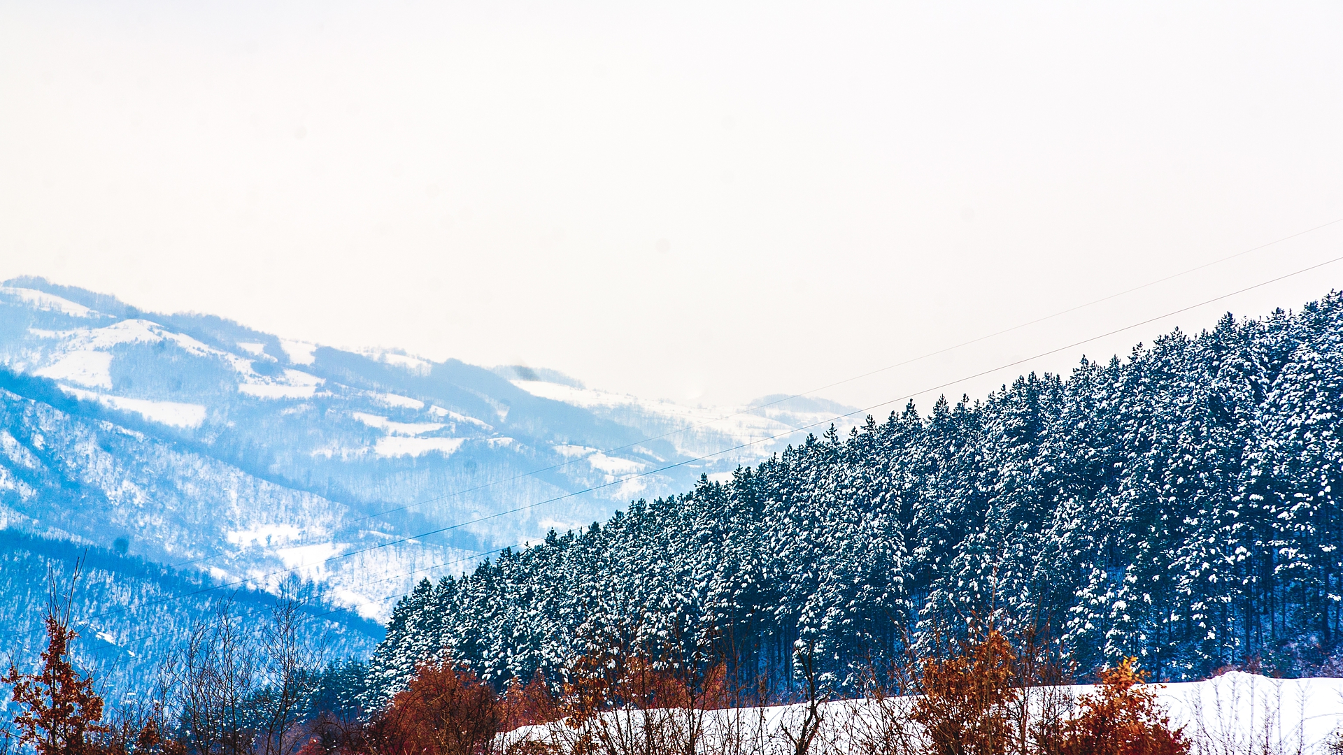Download mobile wallpaper Landscape, Winter, Snow, Tree, Earth, Season, Scenic, Bosnia for free.