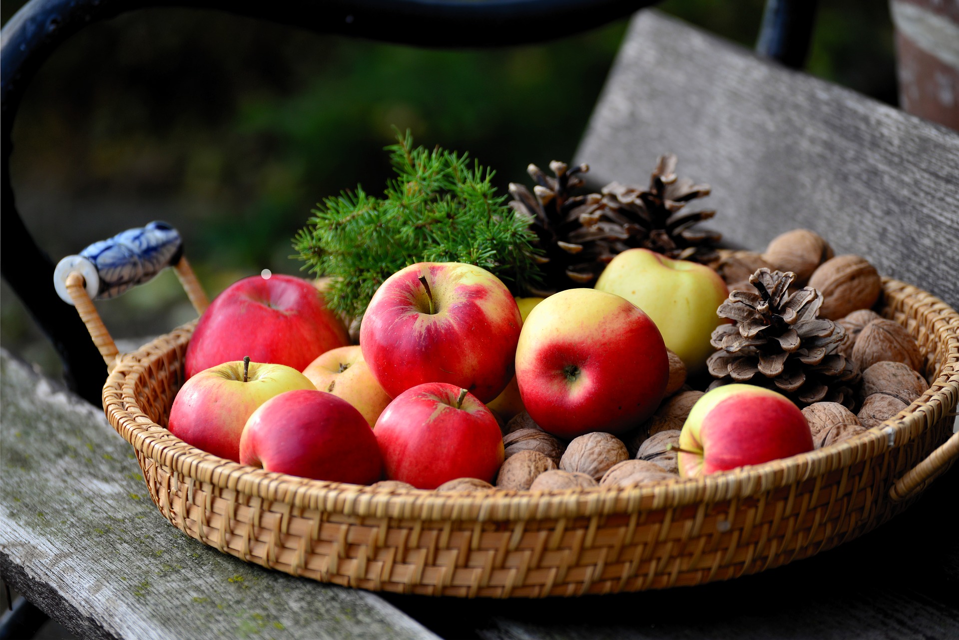 Handy-Wallpaper Frucht, Apfel, Nuss, Nahrungsmittel, Früchte kostenlos herunterladen.