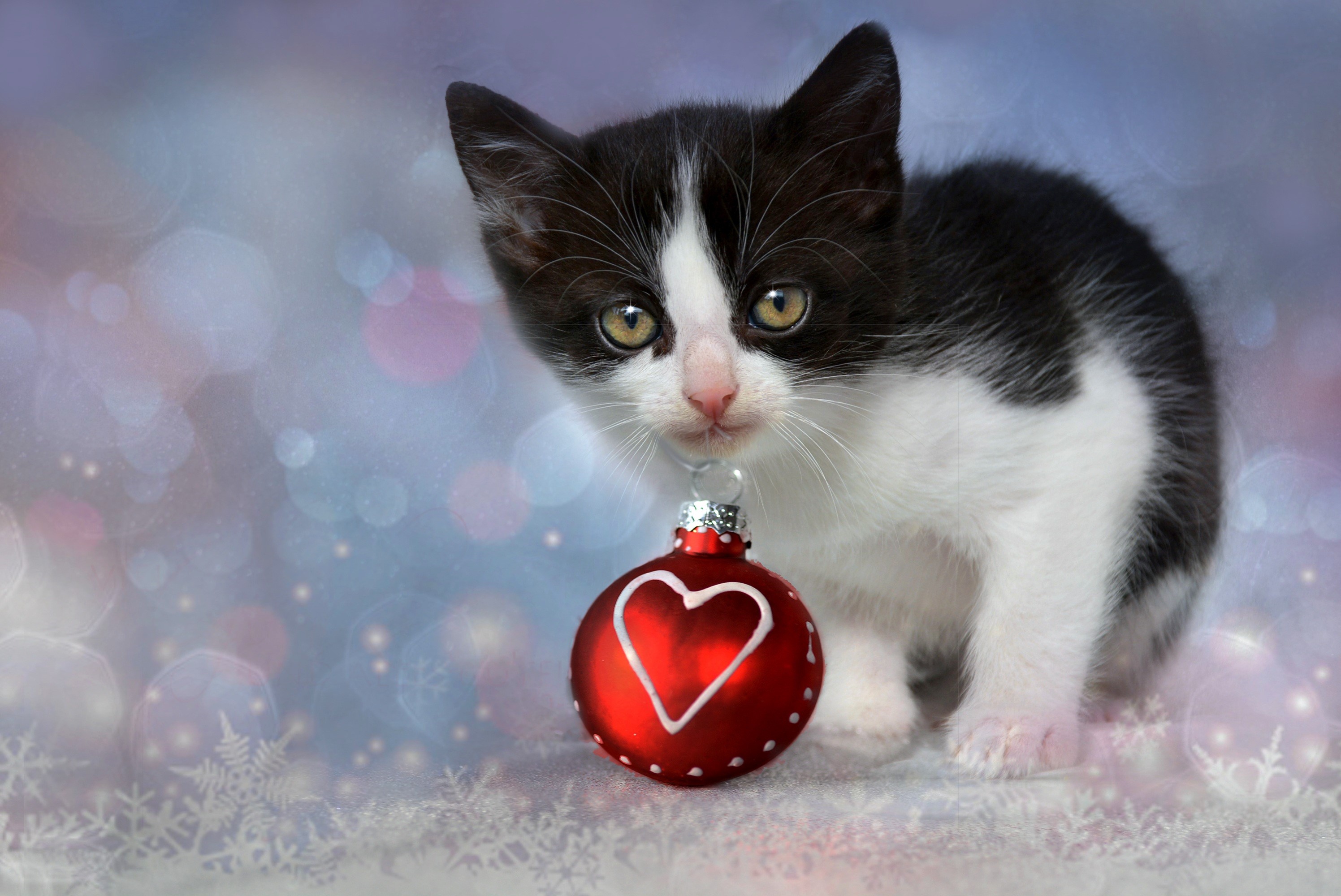 Free download wallpaper Kitten, Christmas, Holiday, Heart, Cute, Christmas Ornaments, Baby Animal on your PC desktop